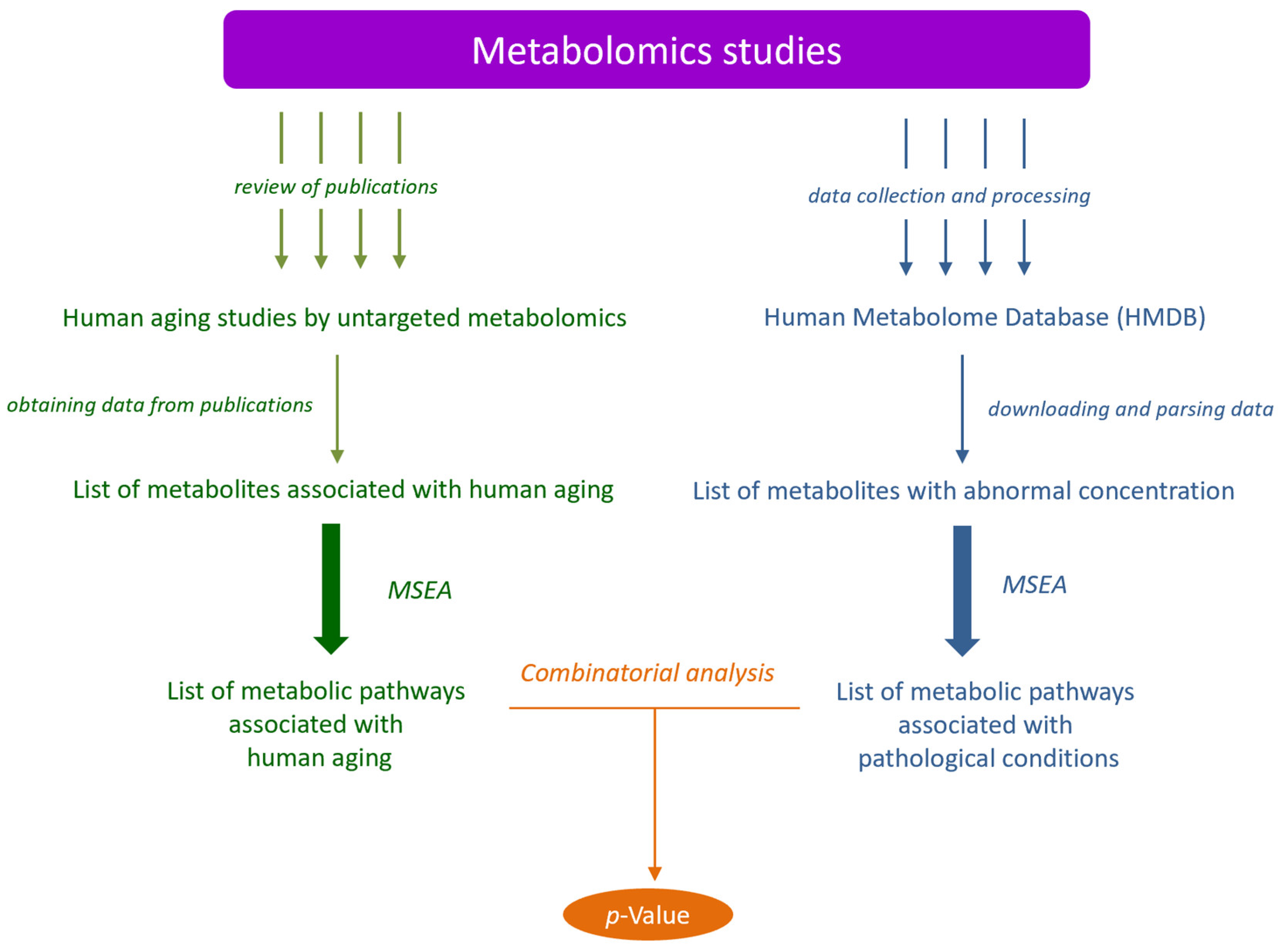 Metabolites 14 00593 g001 Metabolites 14 00593 g001