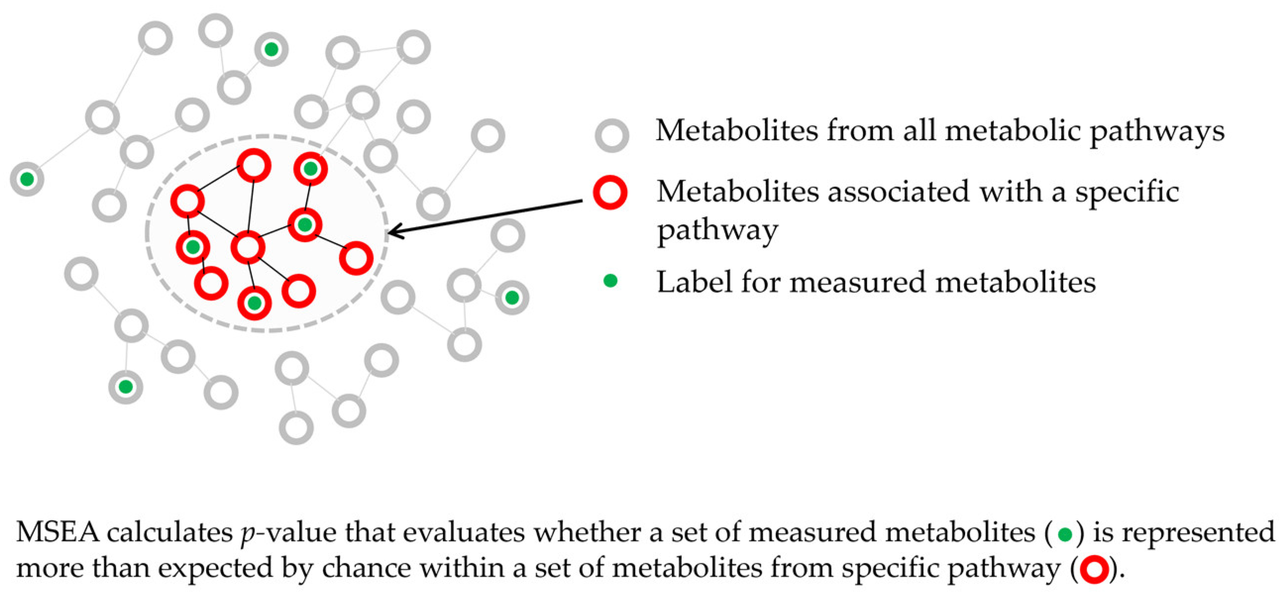 Metabolites 14 00593 g004 Metabolites 14 00593 g004
