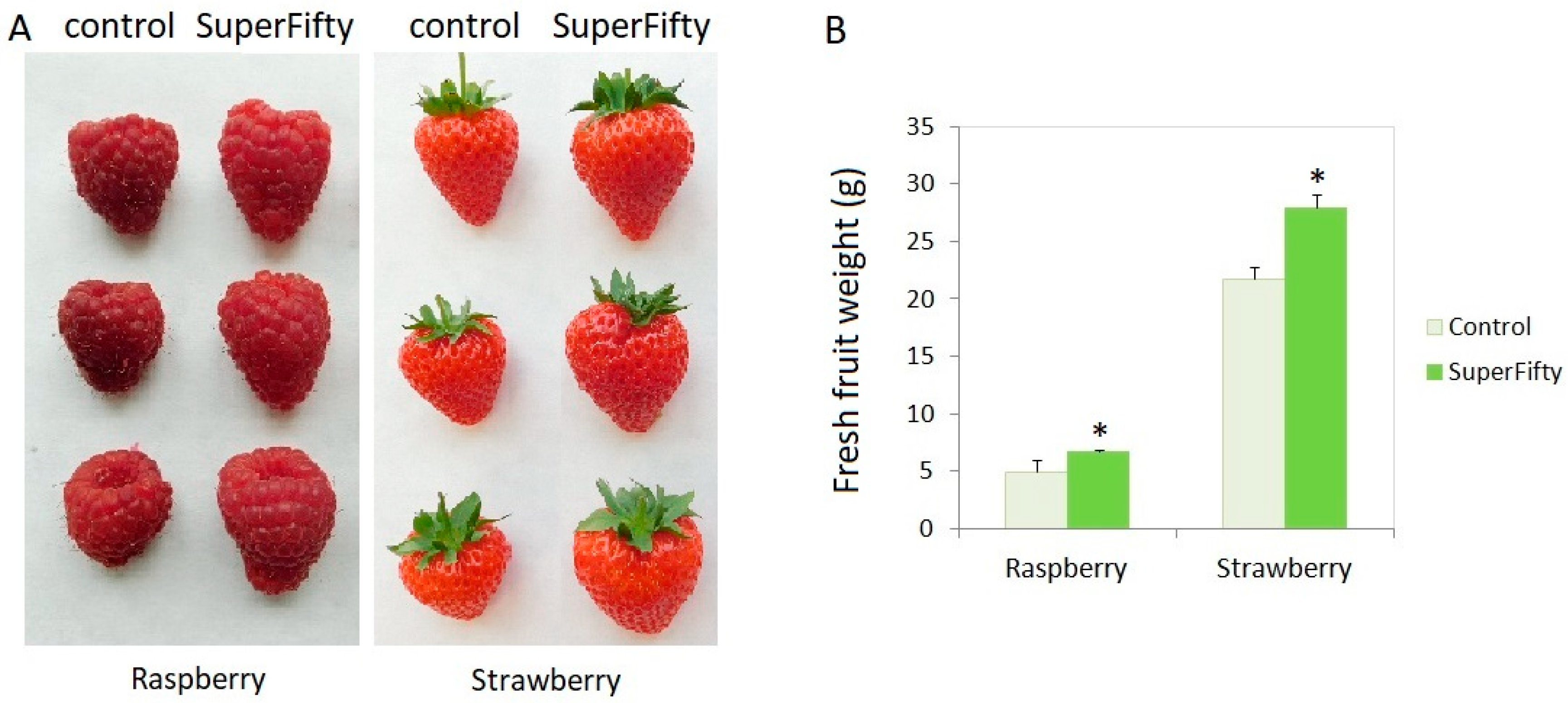 Metabolites 14 00594 g001