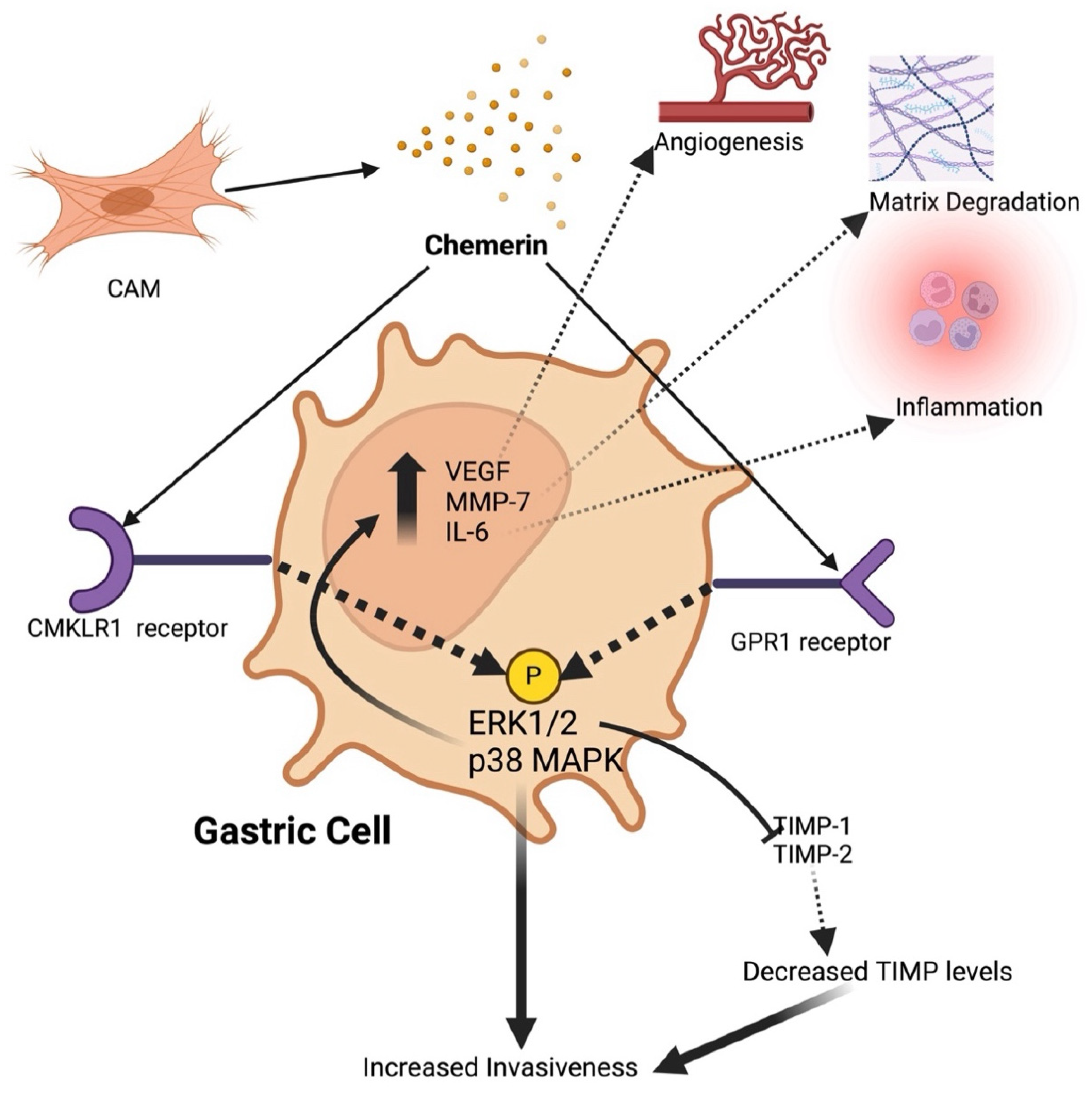 Metabolites 14 00599 g003