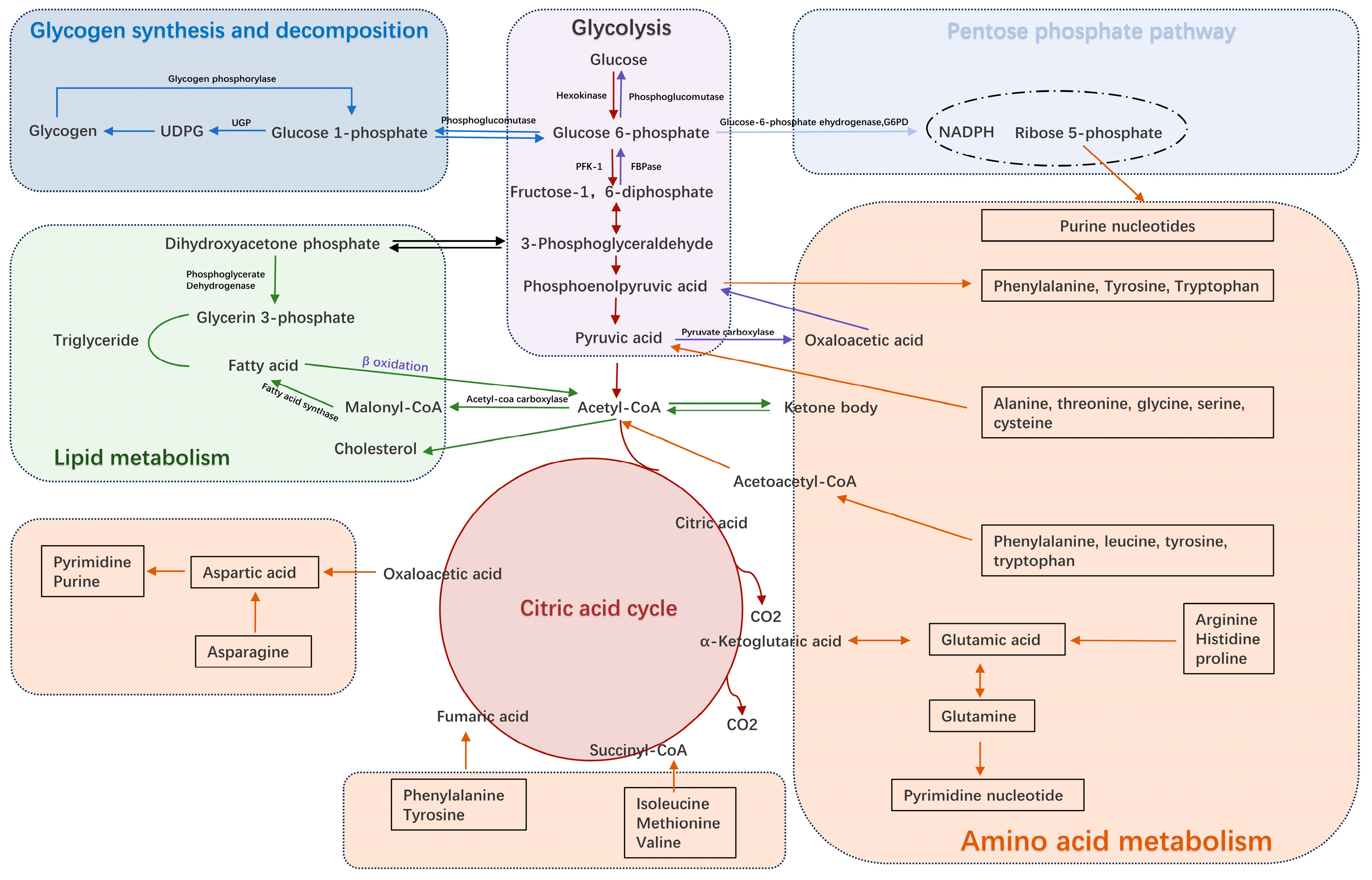 Metabolites 14 00604 g001