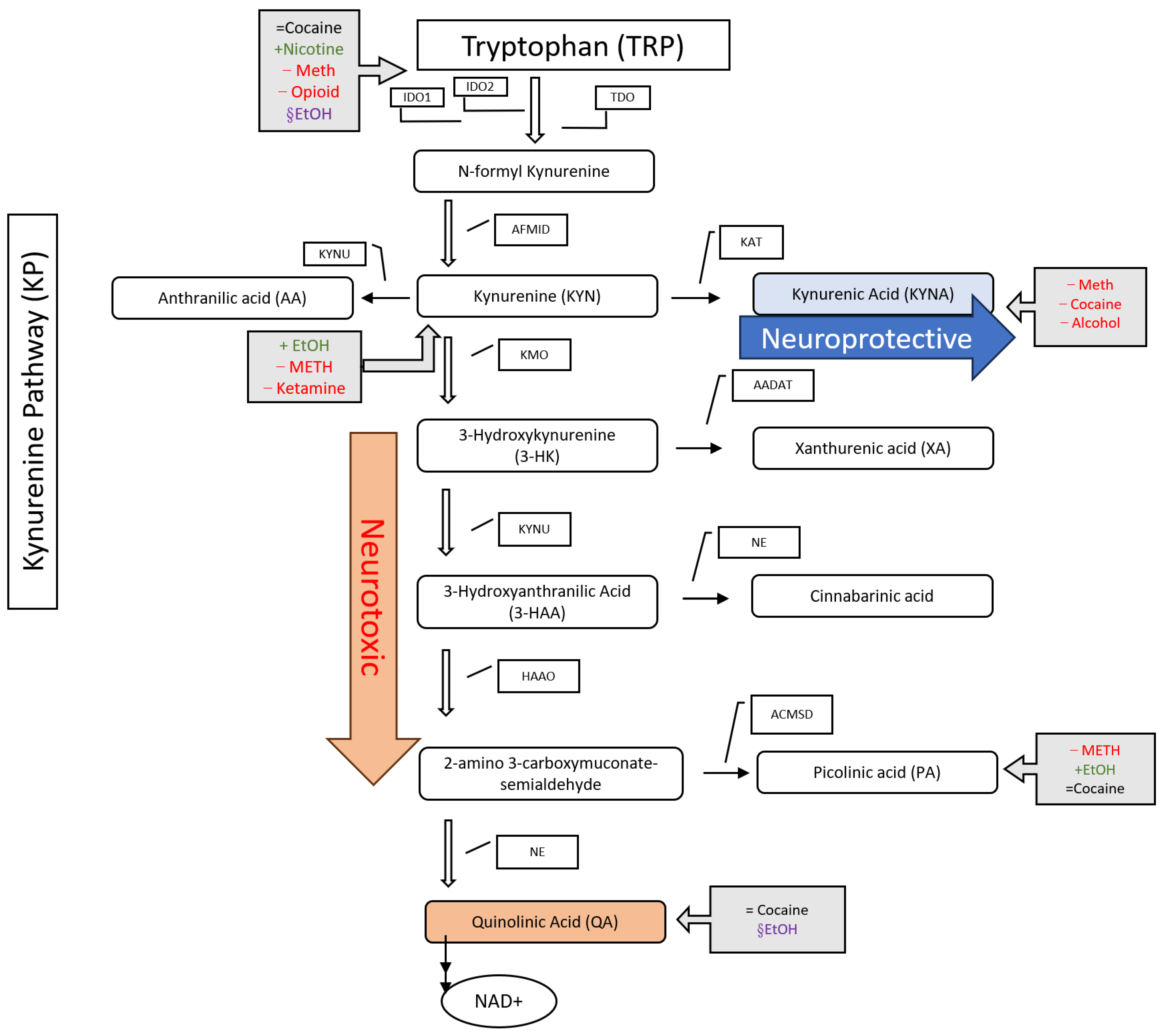 Metabolites 14 00611 g001