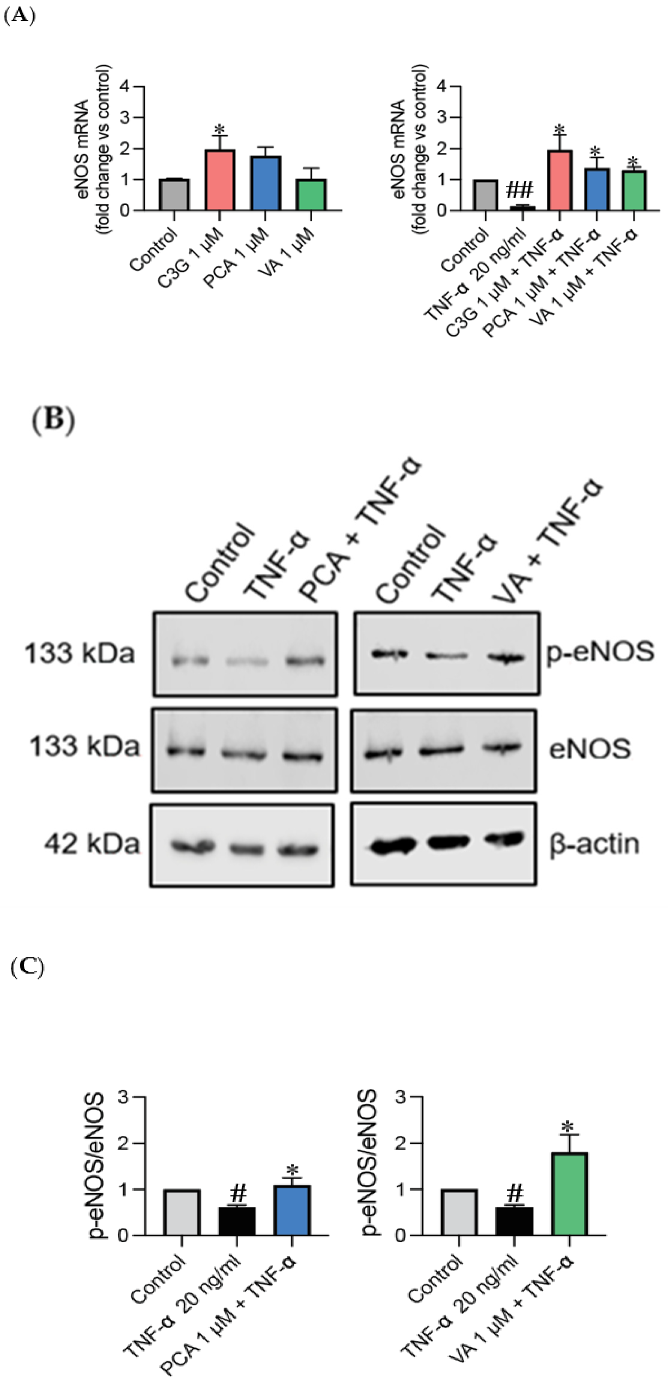 Metabolites 14 00613 g003