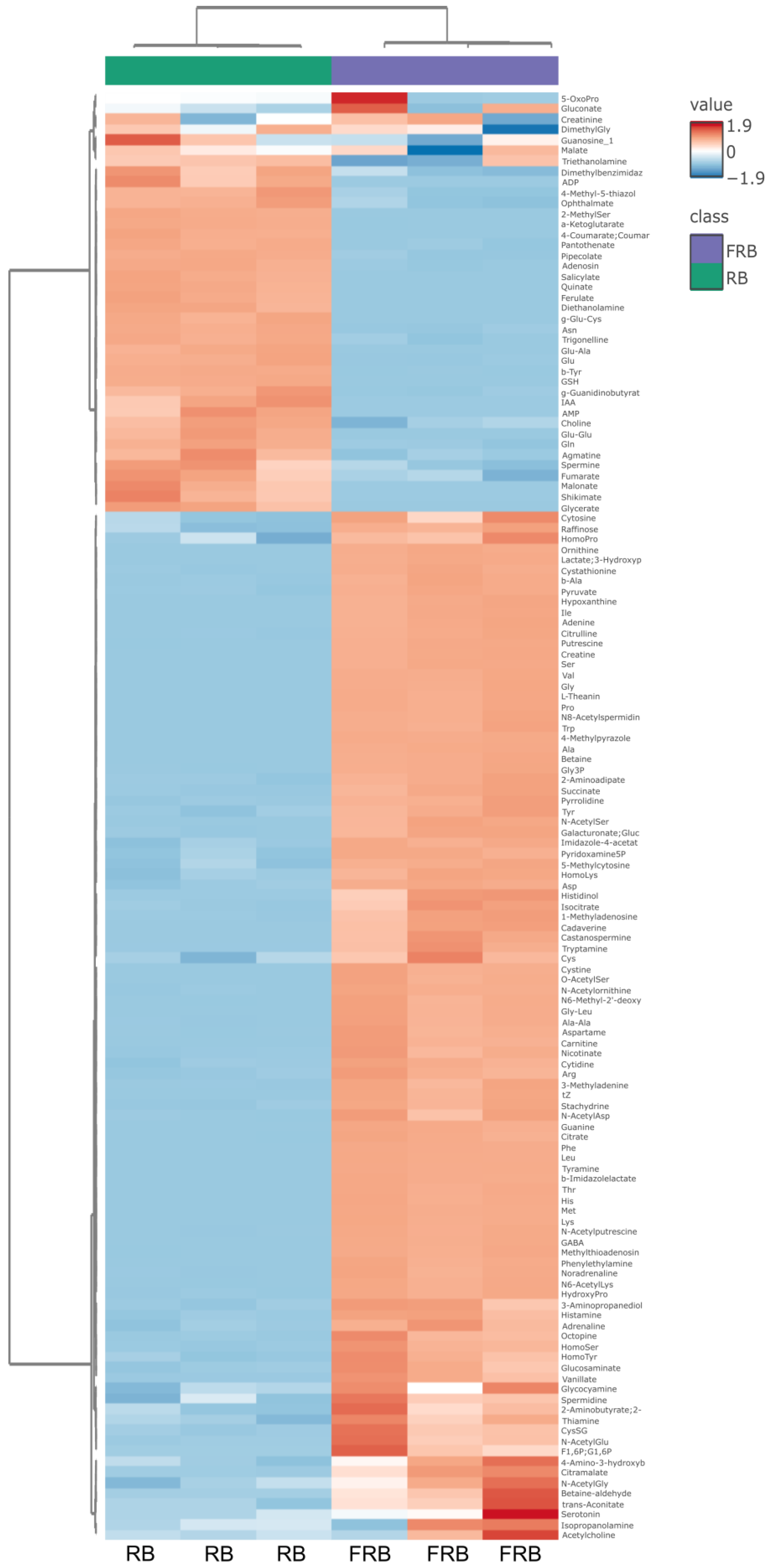 Metabolites 14 00614 g005