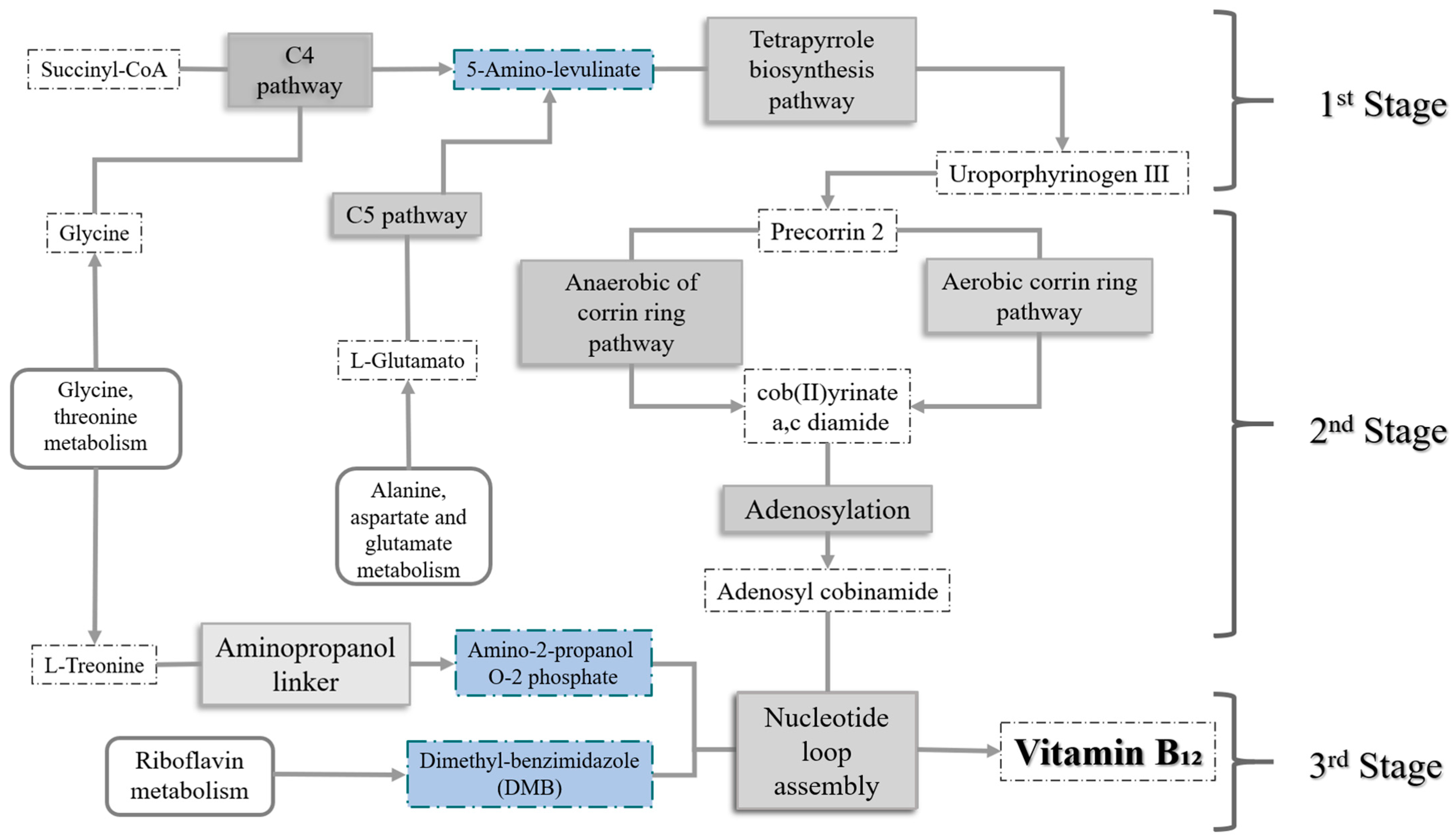 Metabolites 14 00636 g001