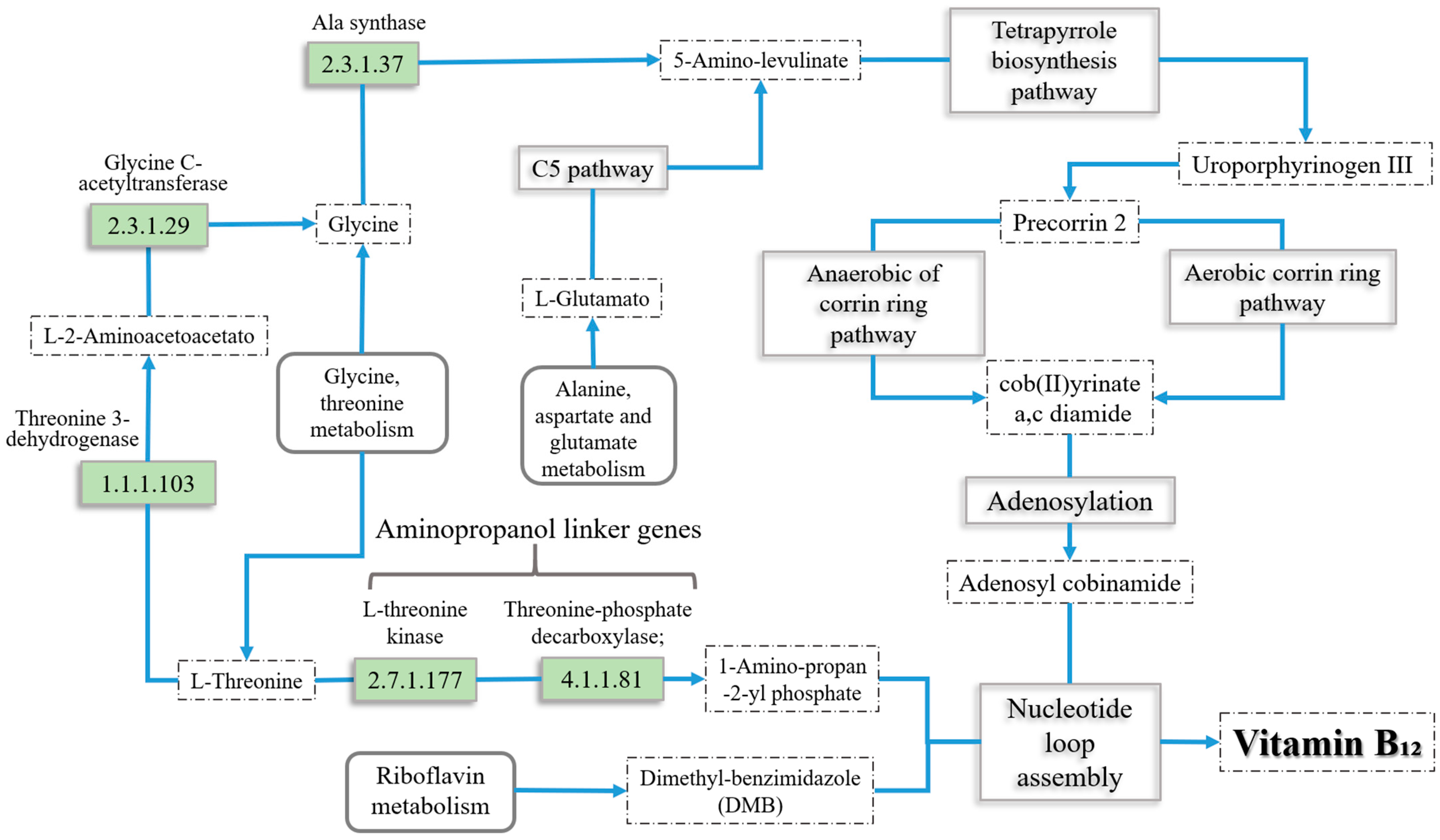 Metabolites 14 00636 g002