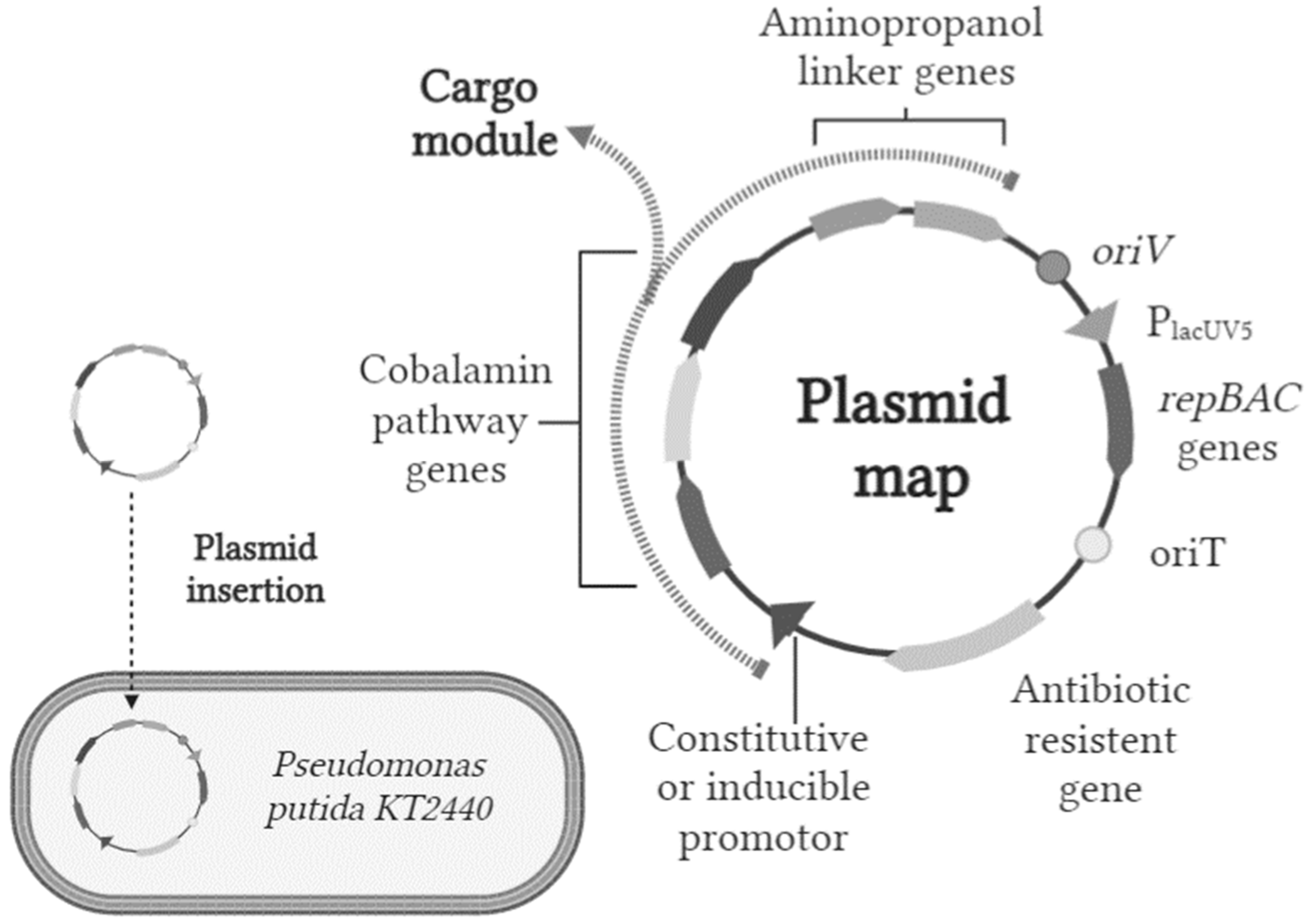 Metabolites 14 00636 g004