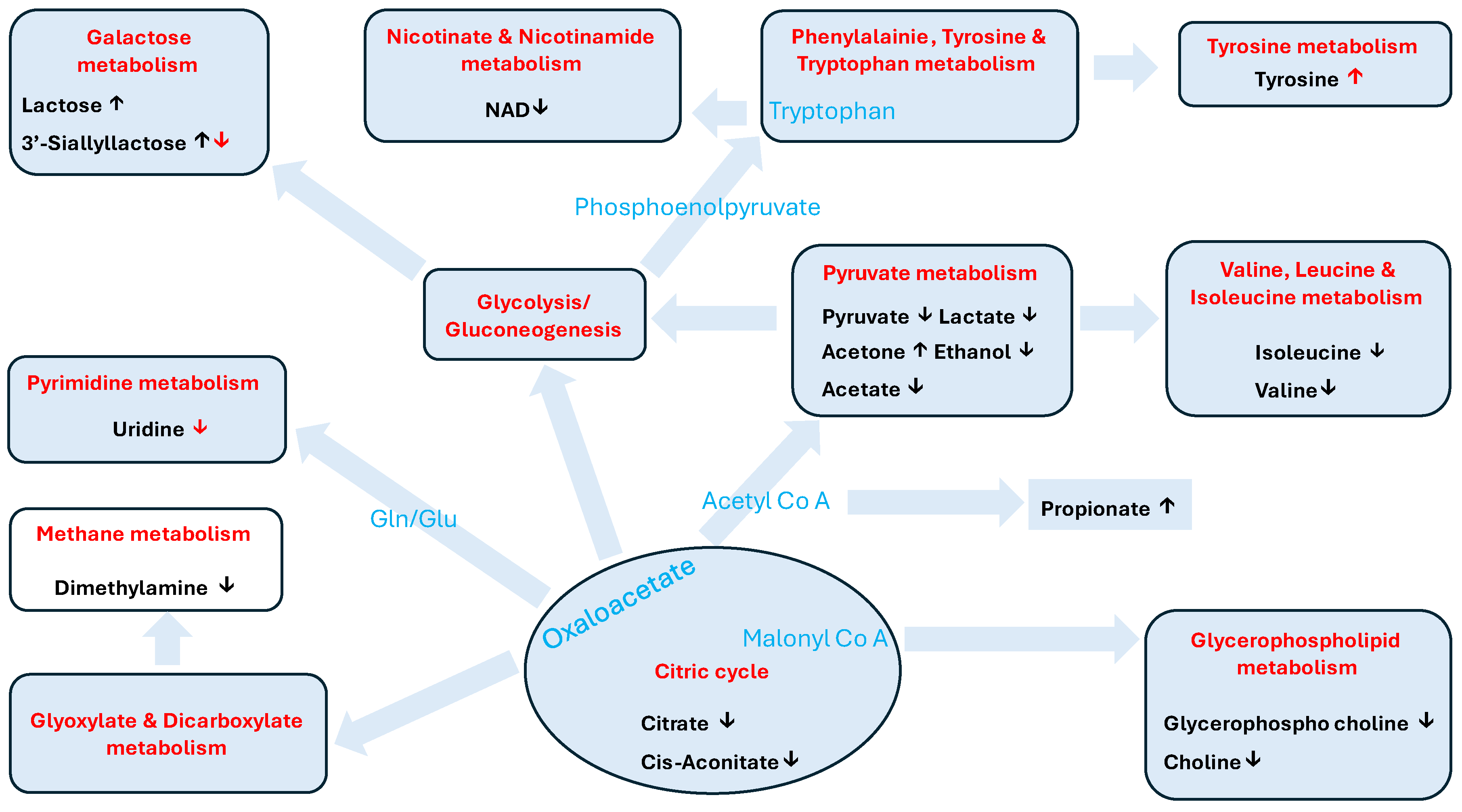 Metabolites 14 00637 g007