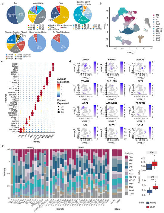通販 公式サイト - 驚きの激安価格 Identification Metabolic Lipid Specific Spatial of 社交ダンス