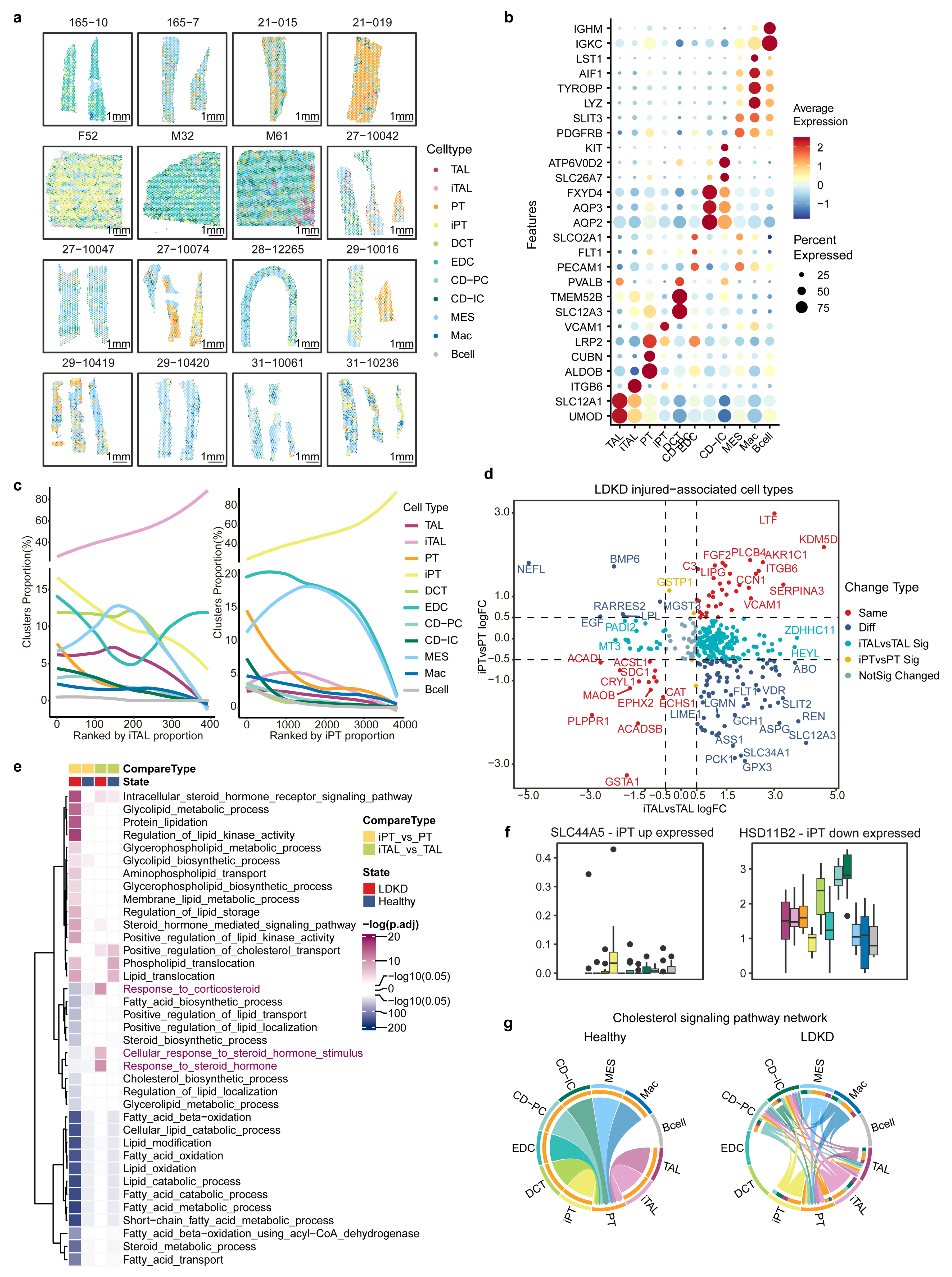 Metabolites 14 00641 g003 Metabolites 14 00641 g003