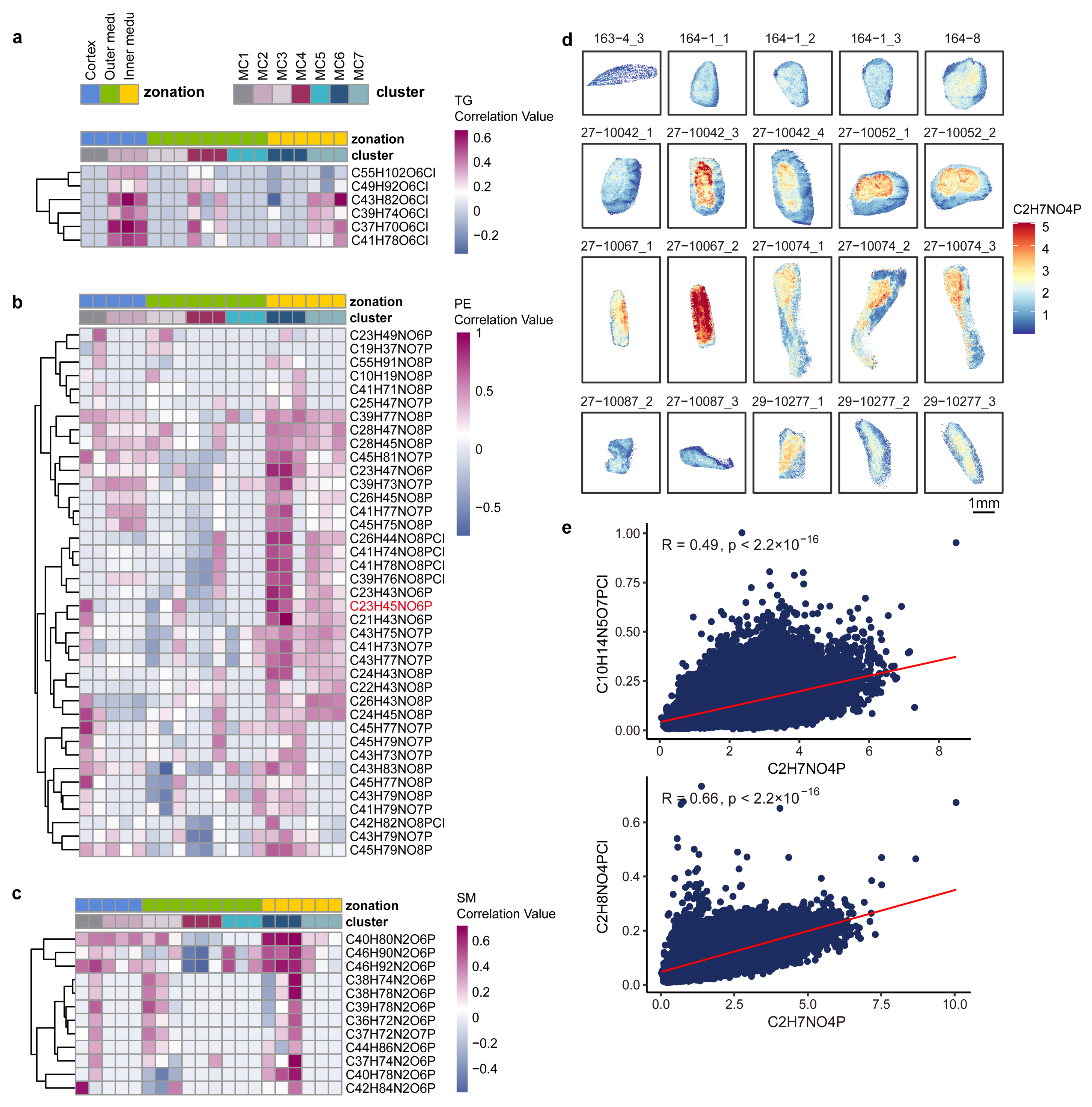 Metabolites 14 00641 g005 Metabolites 14 00641 g005