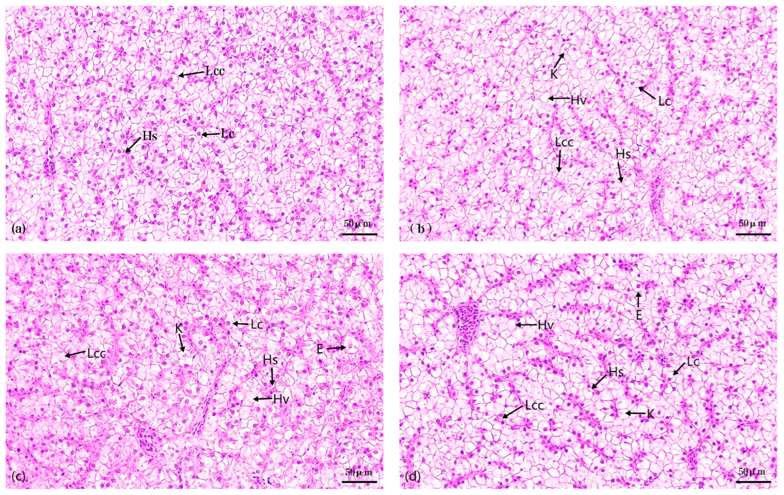 Metabolites 14 00649 g001
