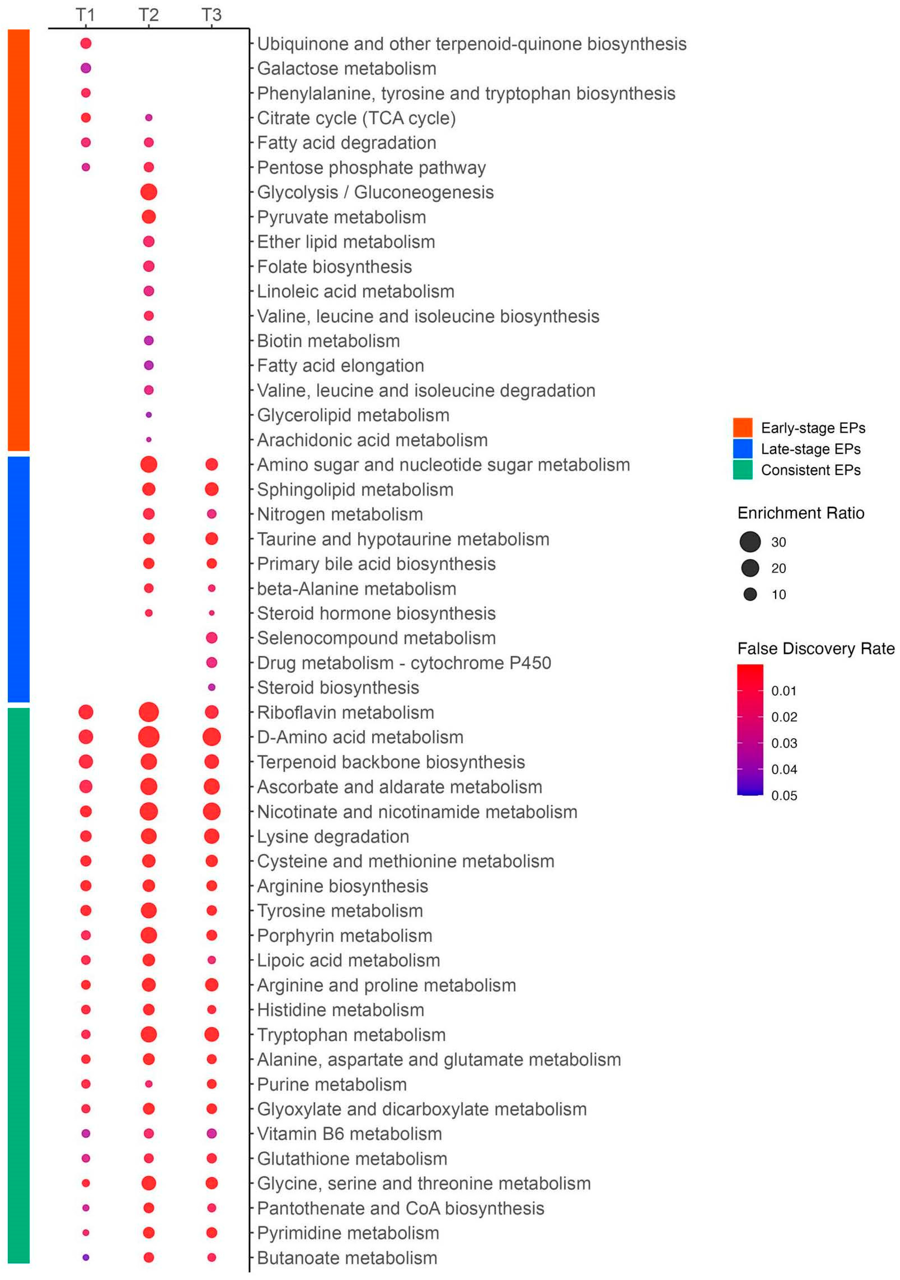 Metabolites 14 00656 g012