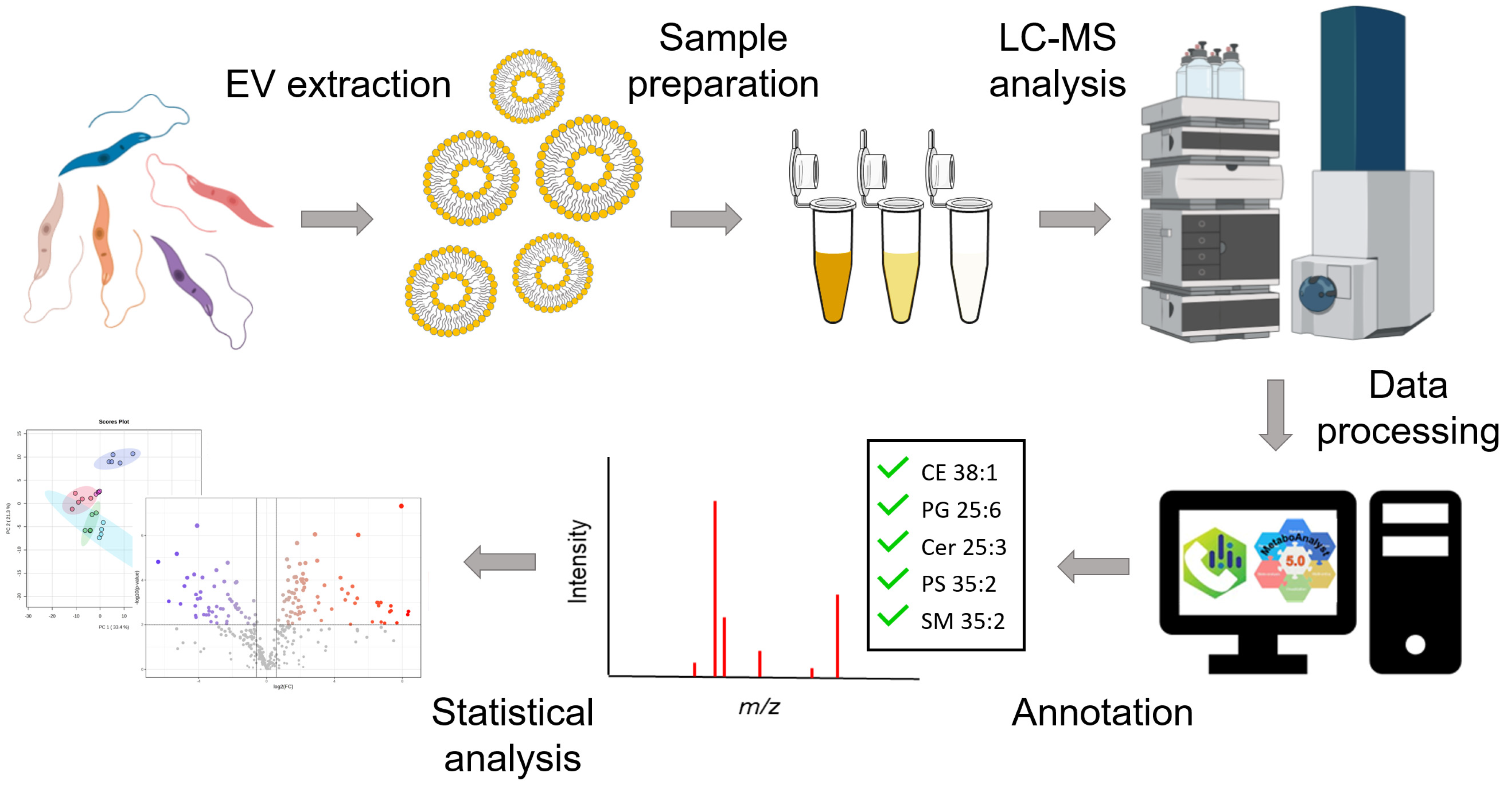 Metabolites 14 00658 g002