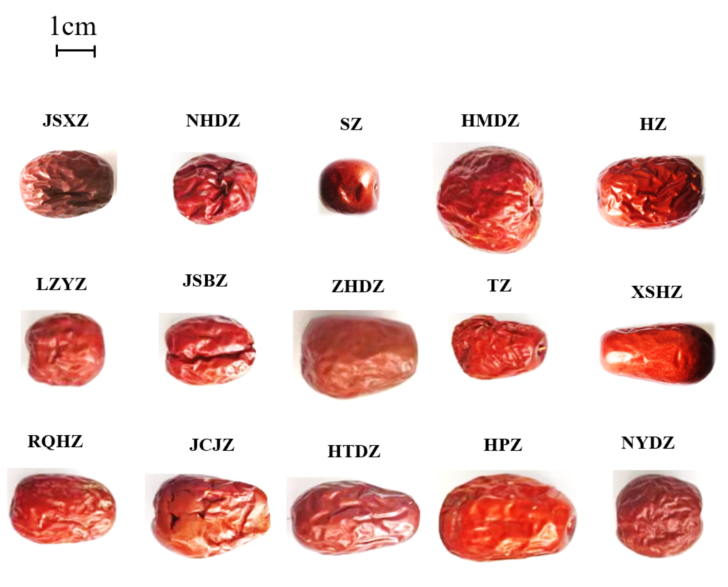 Metabolites 14 00661 g001