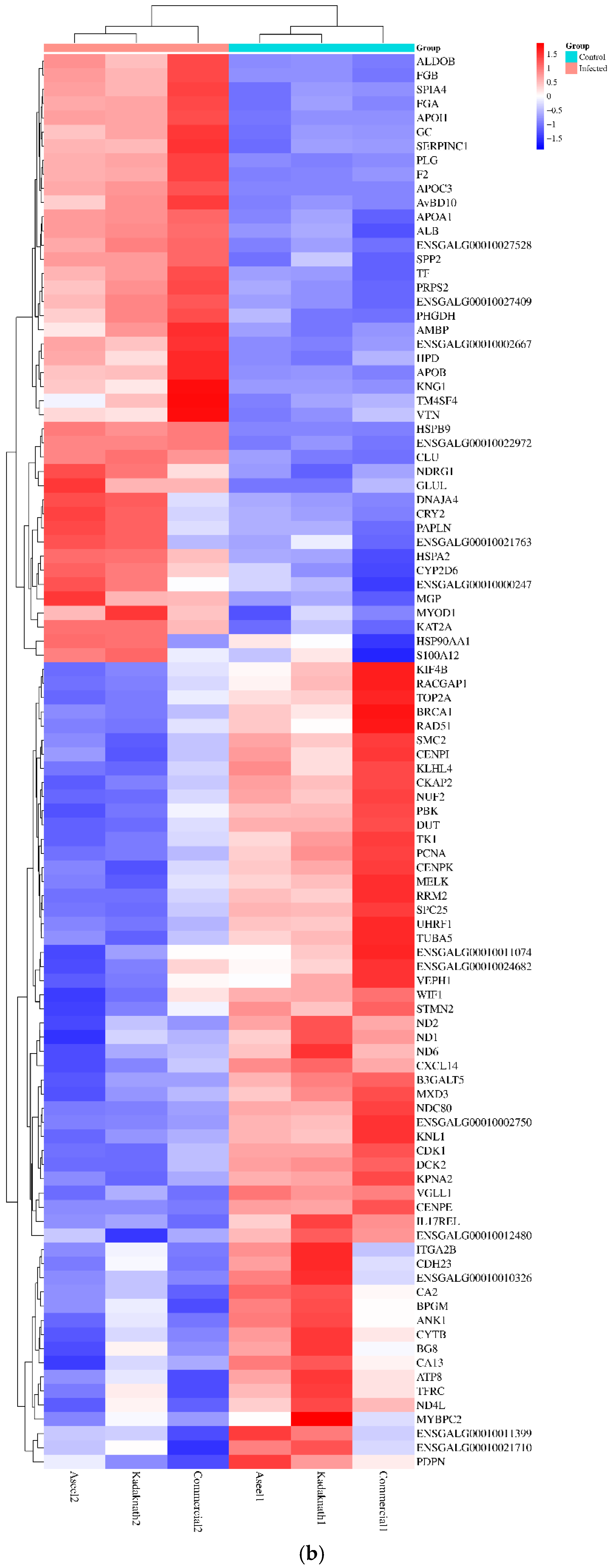 Metabolites 14 00669 g004b Metabolites 14 00669 g004b