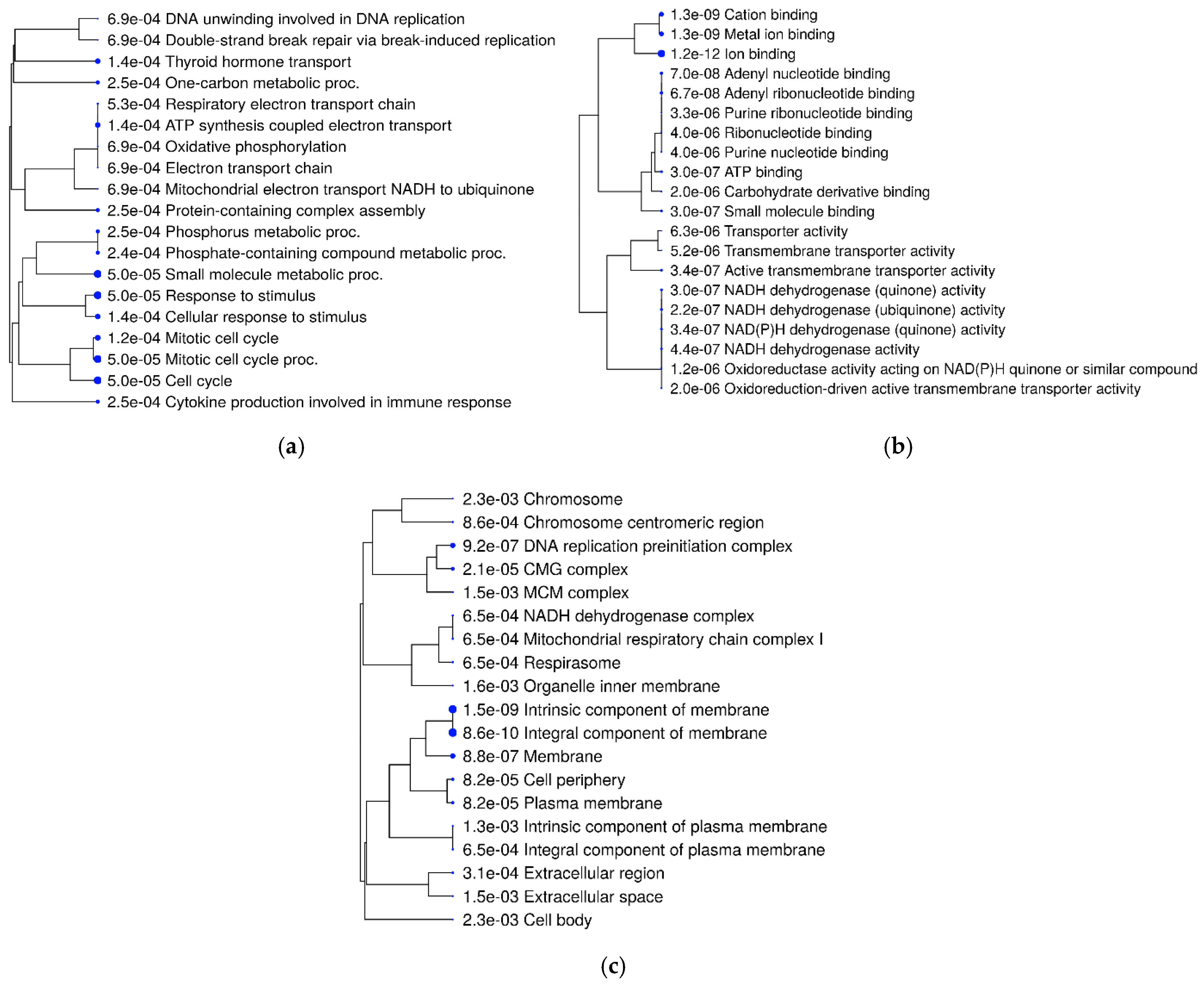 Metabolites 14 00669 g008 Metabolites 14 00669 g008