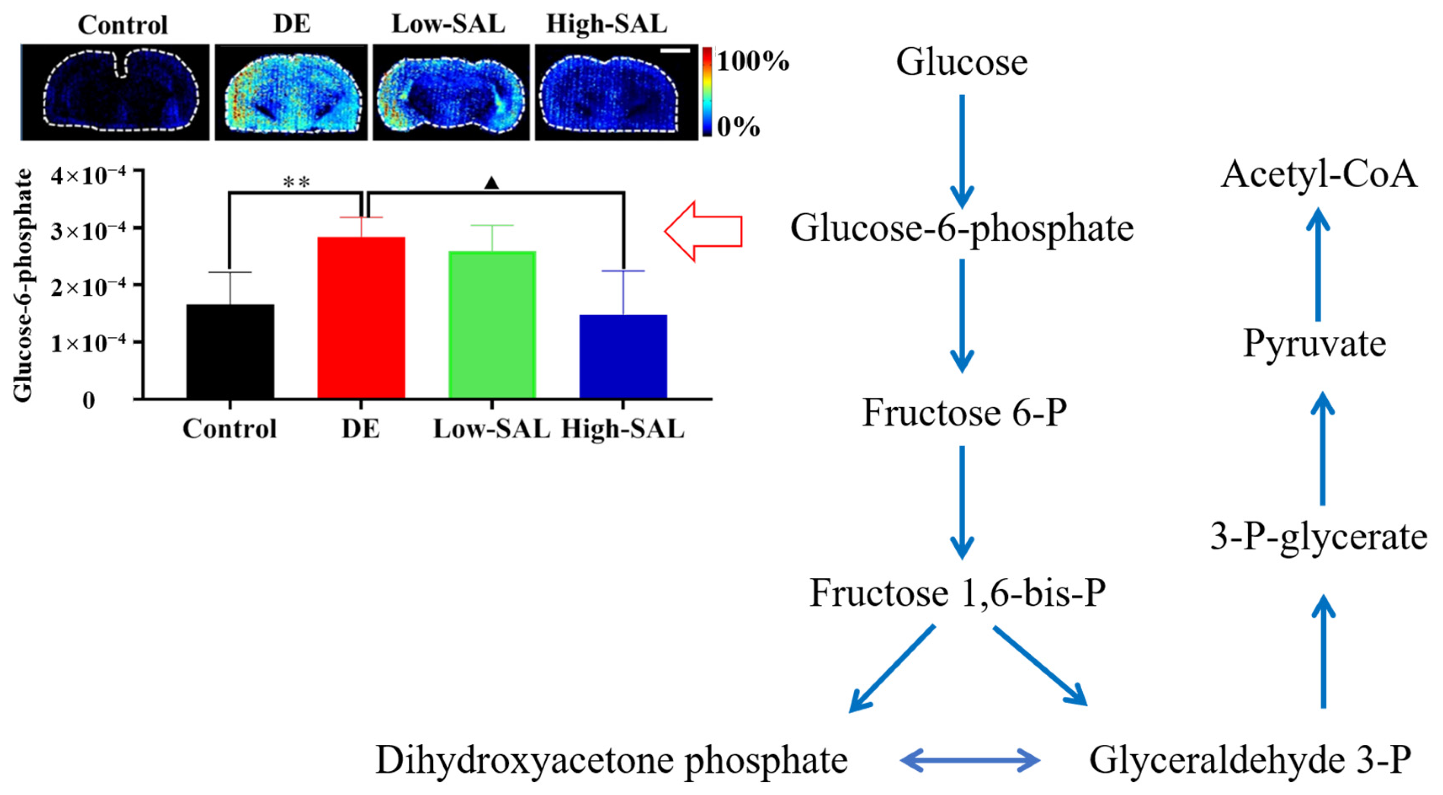 Metabolites 14 00670 g006