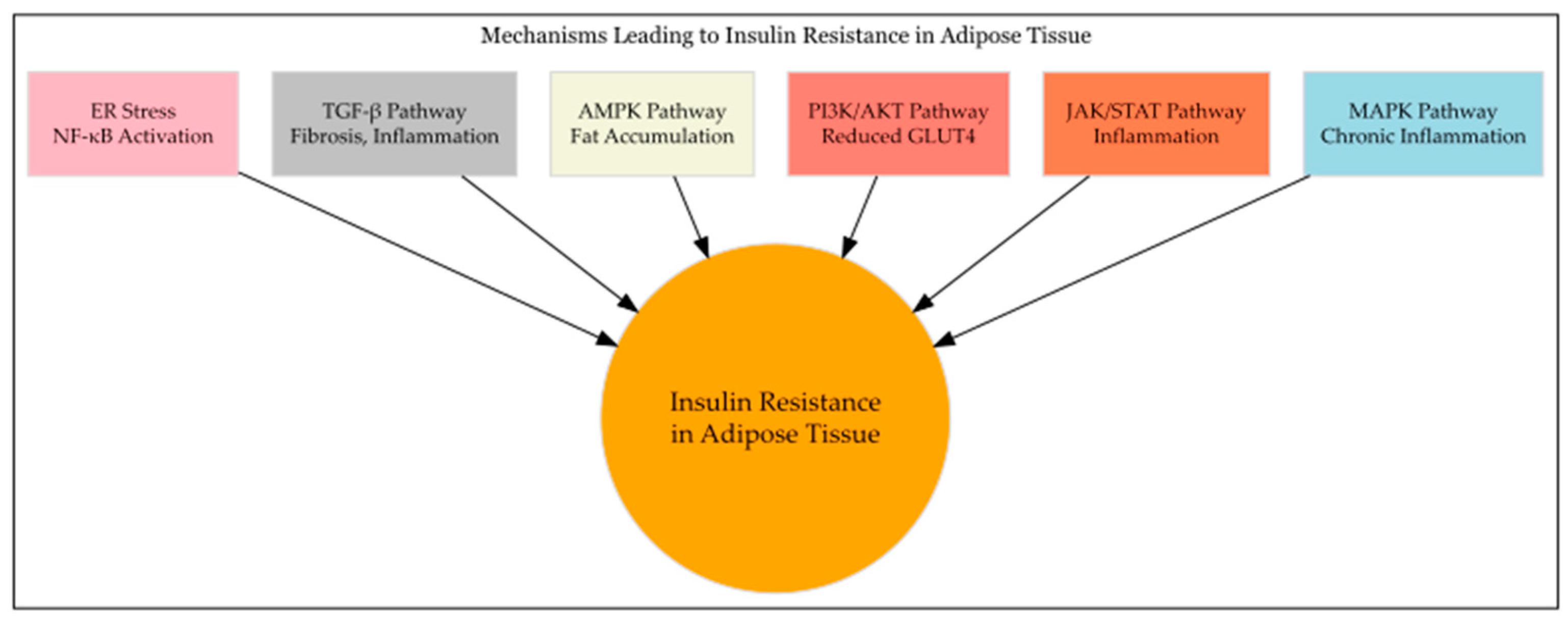 Metabolites 14 00672 g001