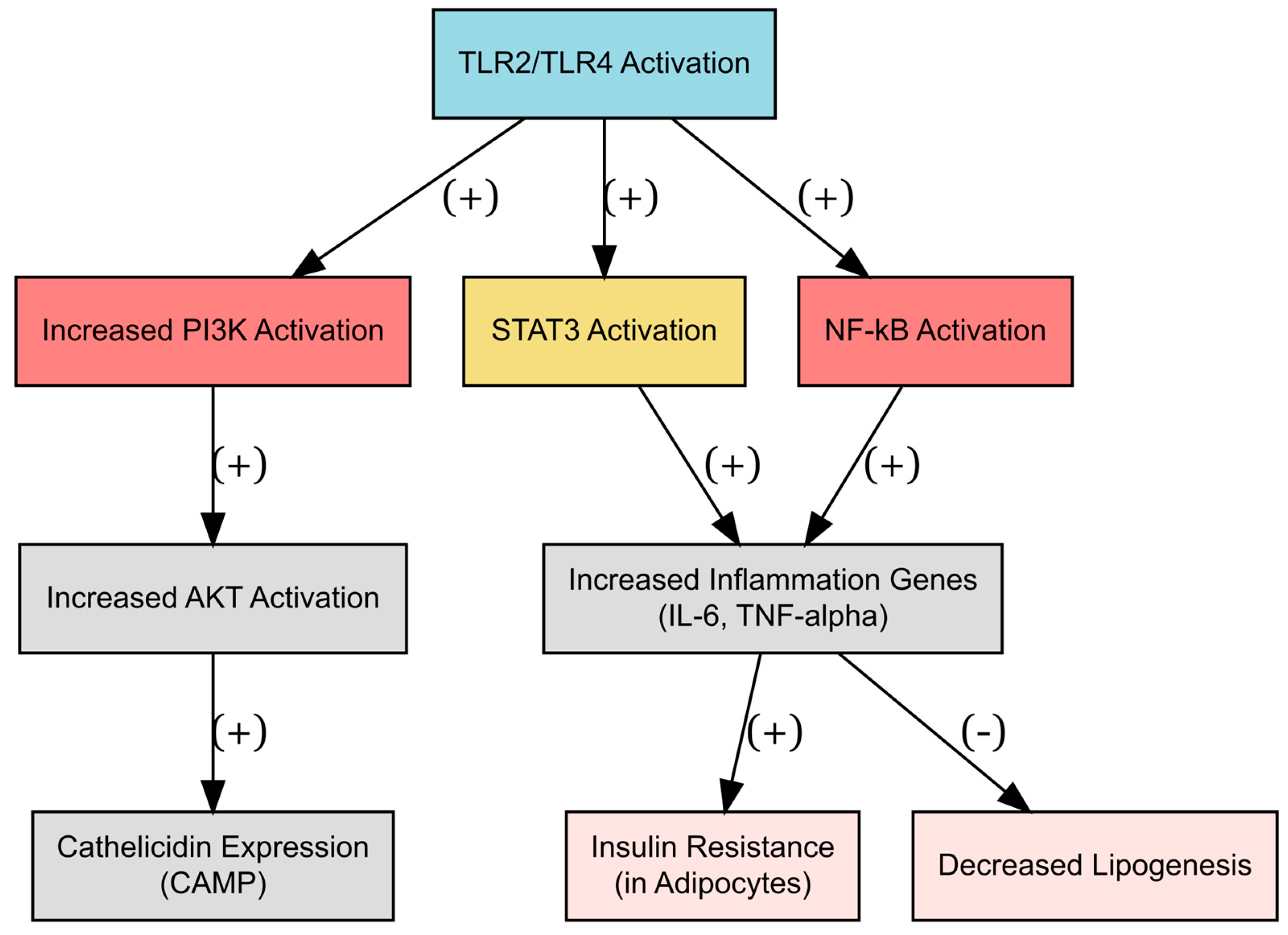 Metabolites 14 00672 g002