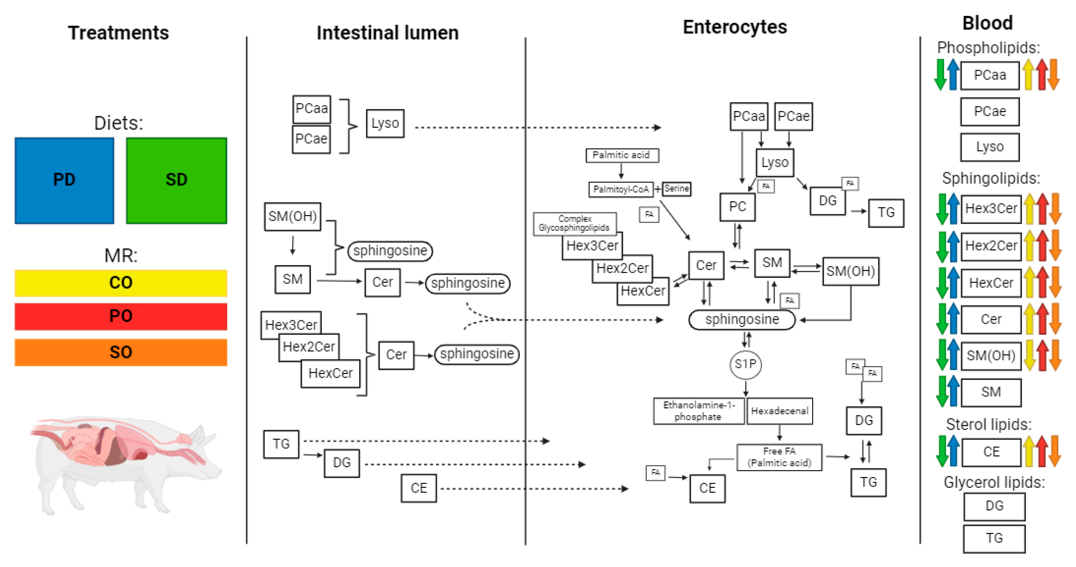Metabolites 14 00673 g005