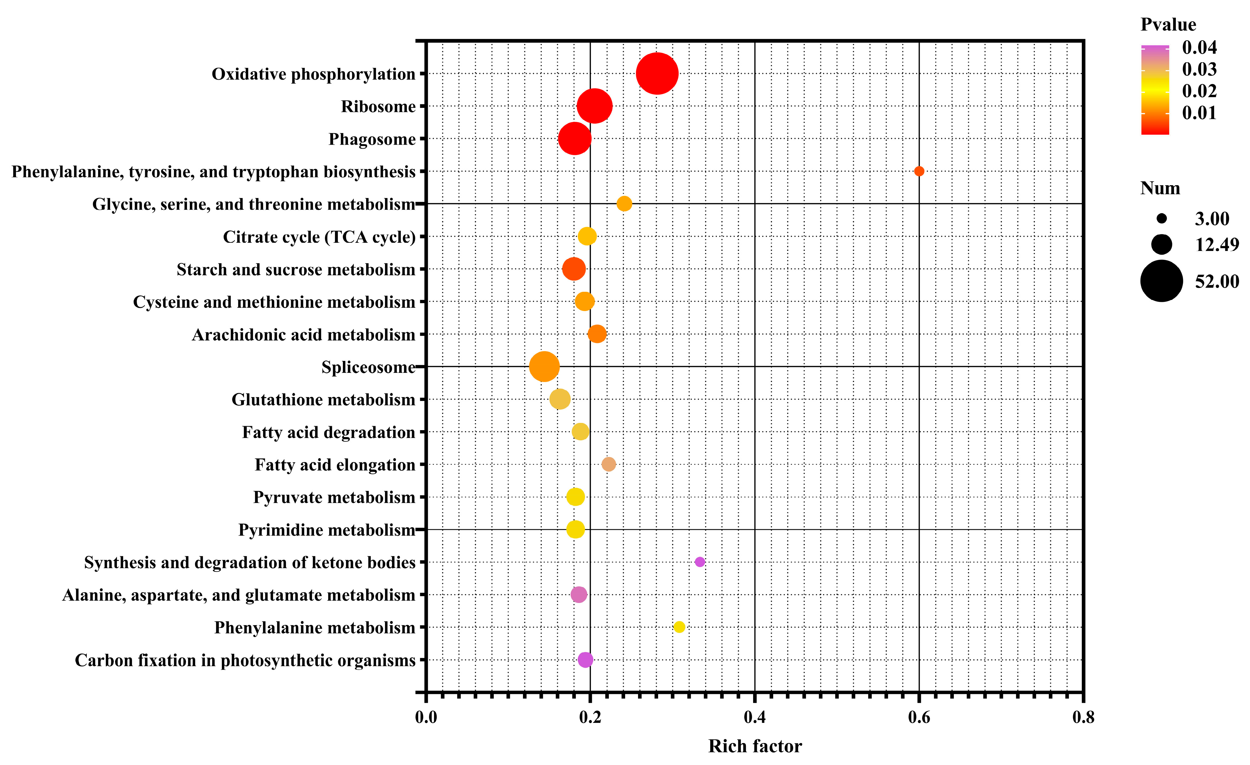 Metabolites 14 00676 g007