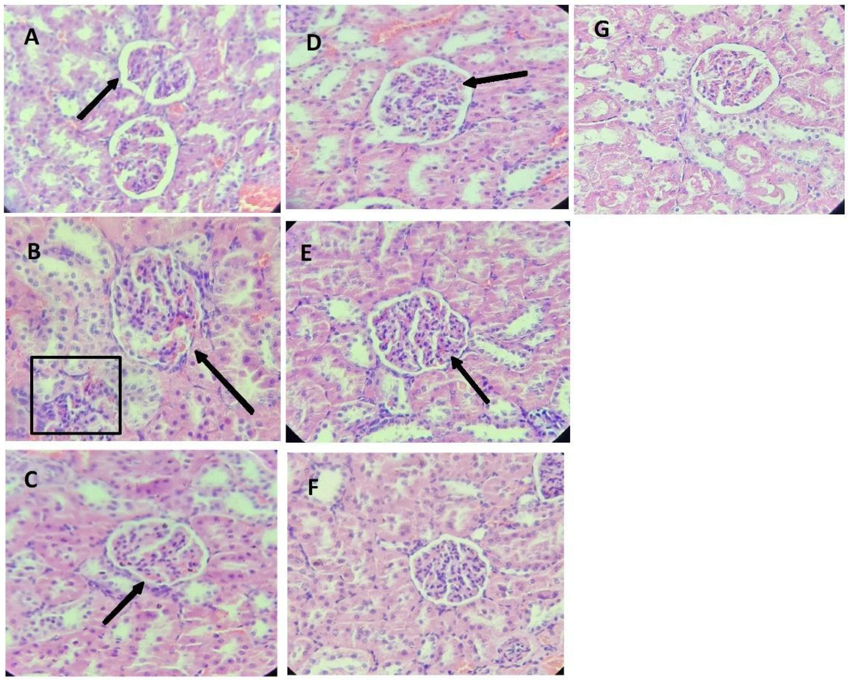 Metabolites 14 00678 g004