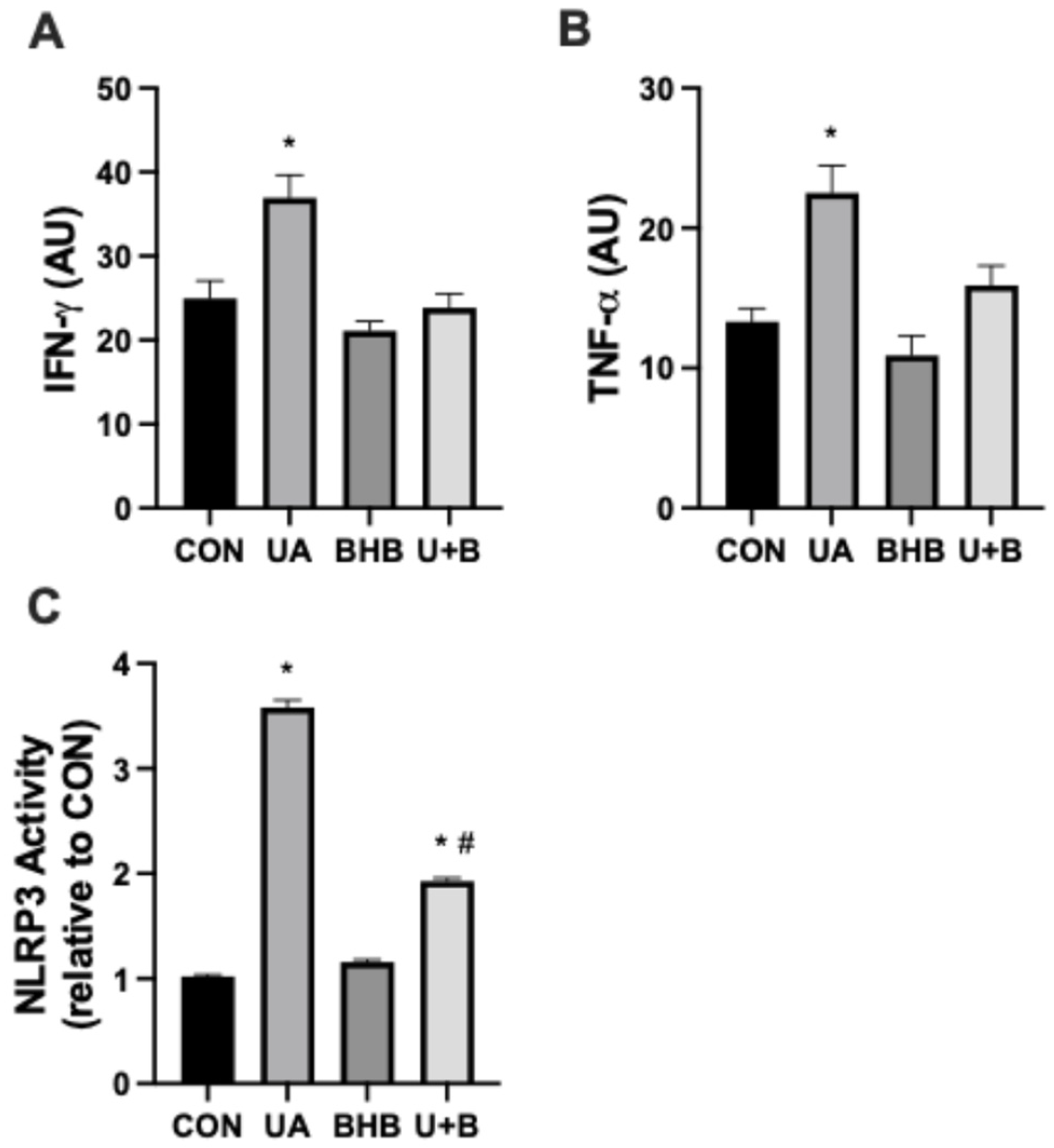 Metabolites 14 00679 g001
