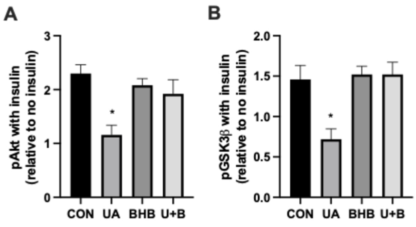 Metabolites 14 00679 g004