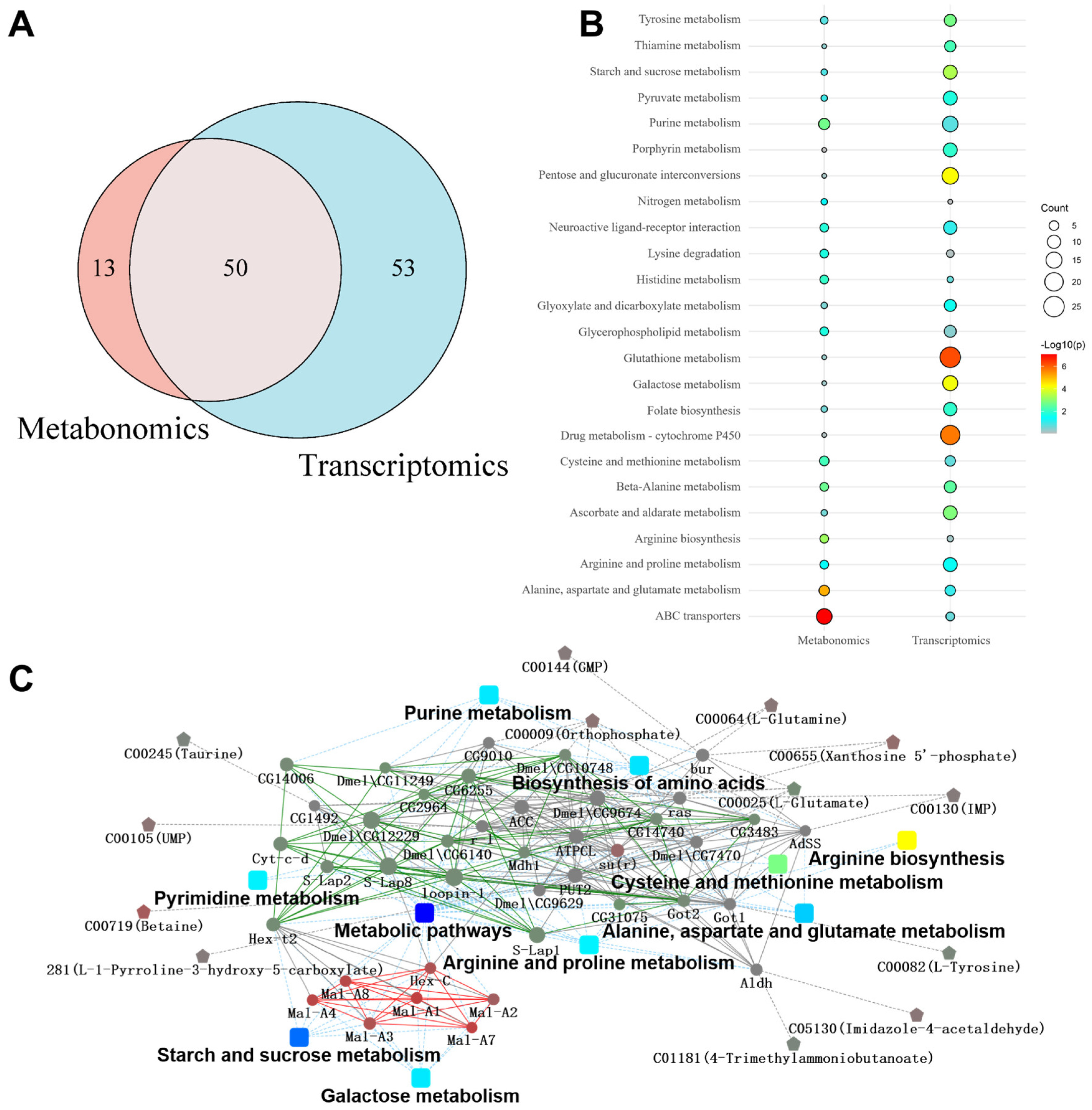 Metabolites 14 00680 g004