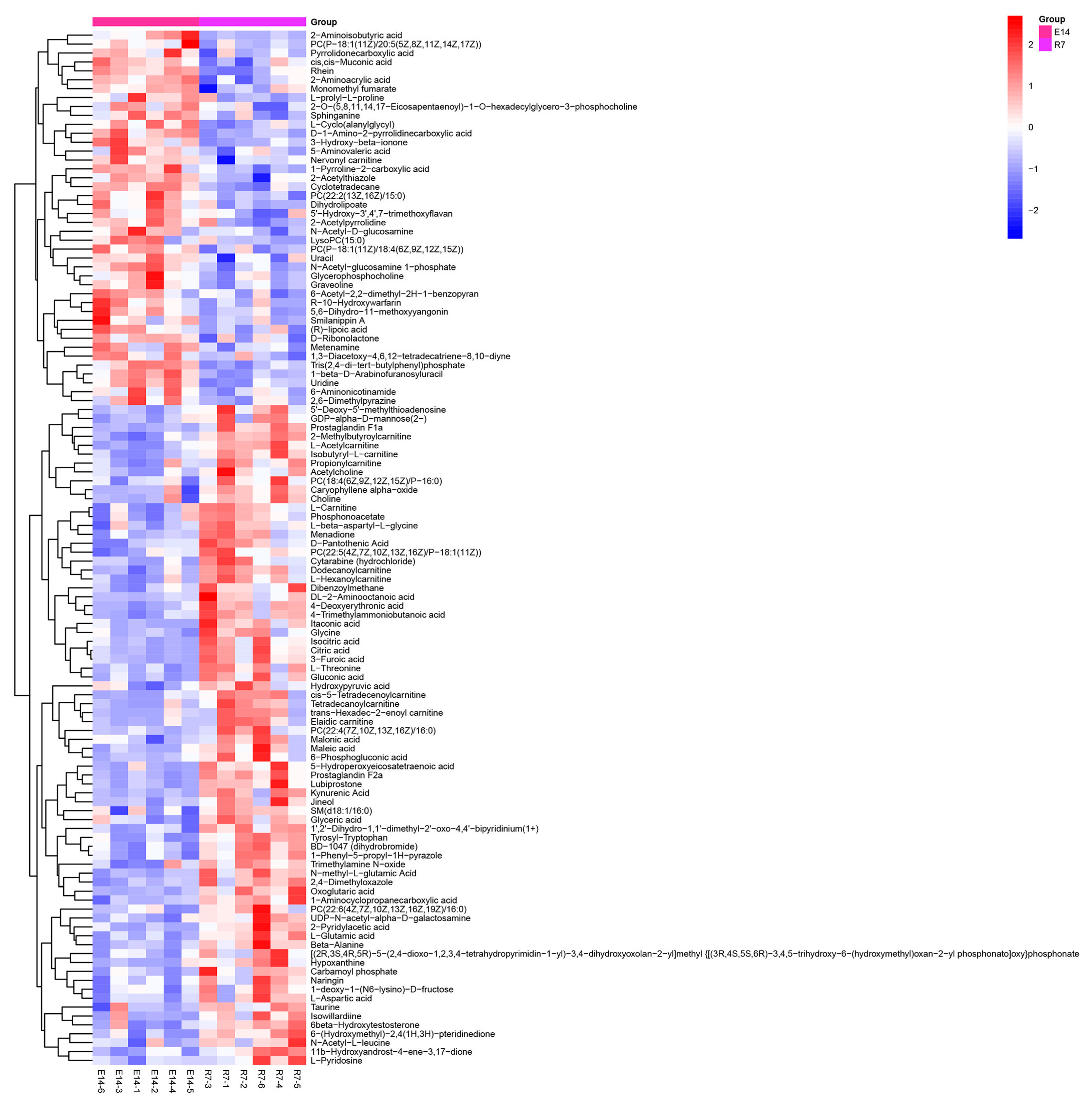 Metabolites 14 00682 g004
