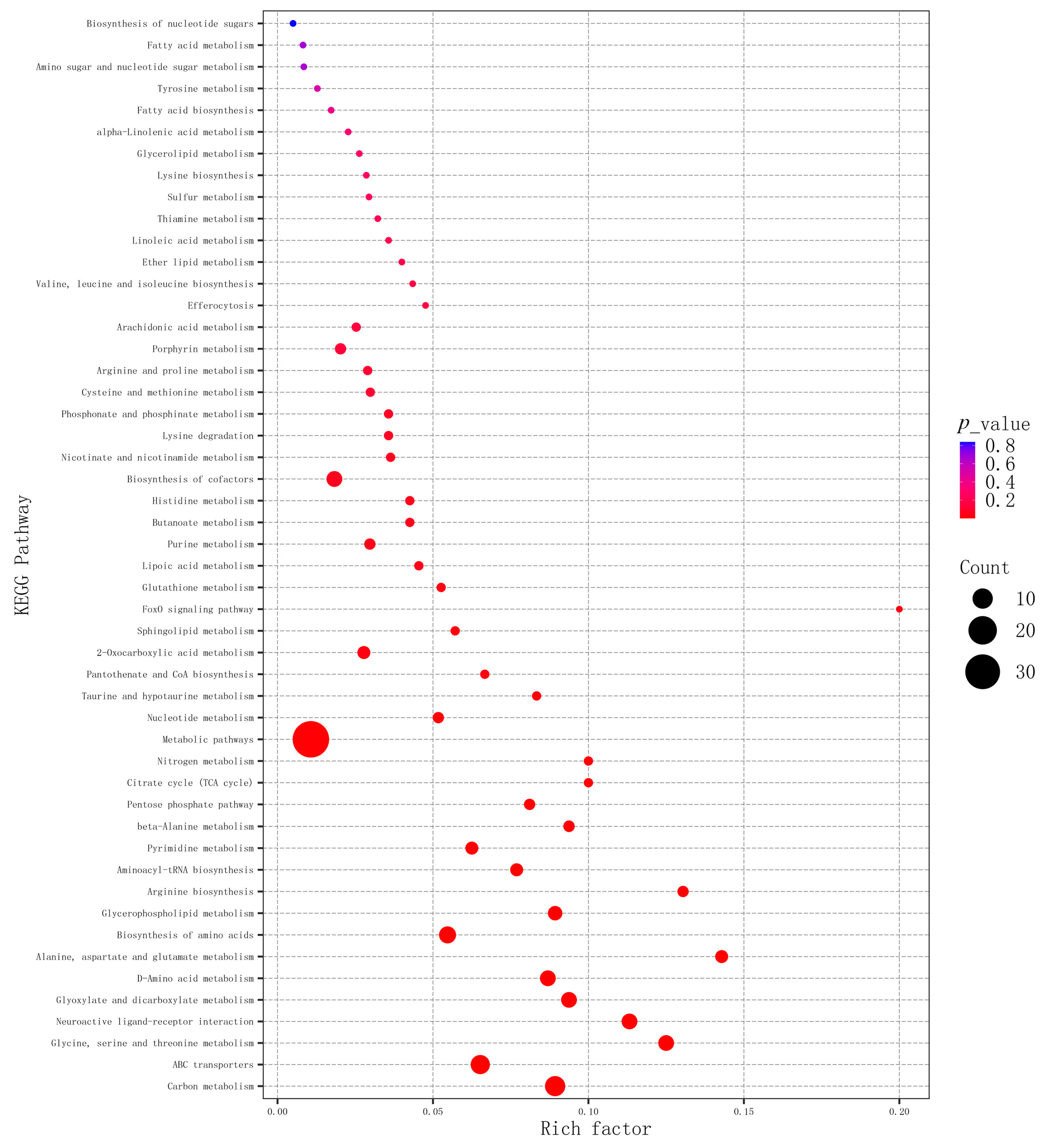Metabolites 14 00682 g006