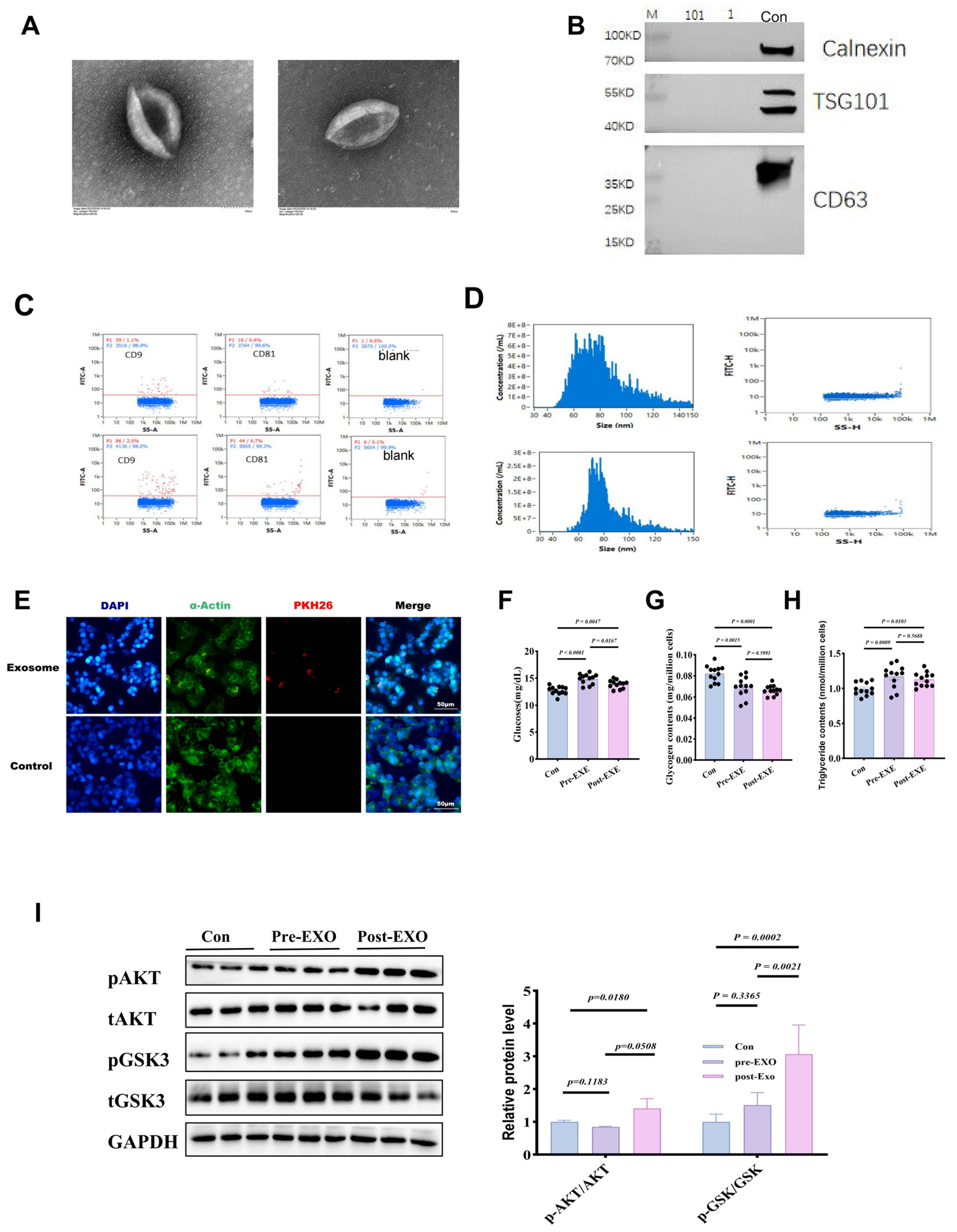 Metabolites 14 00692 g003
