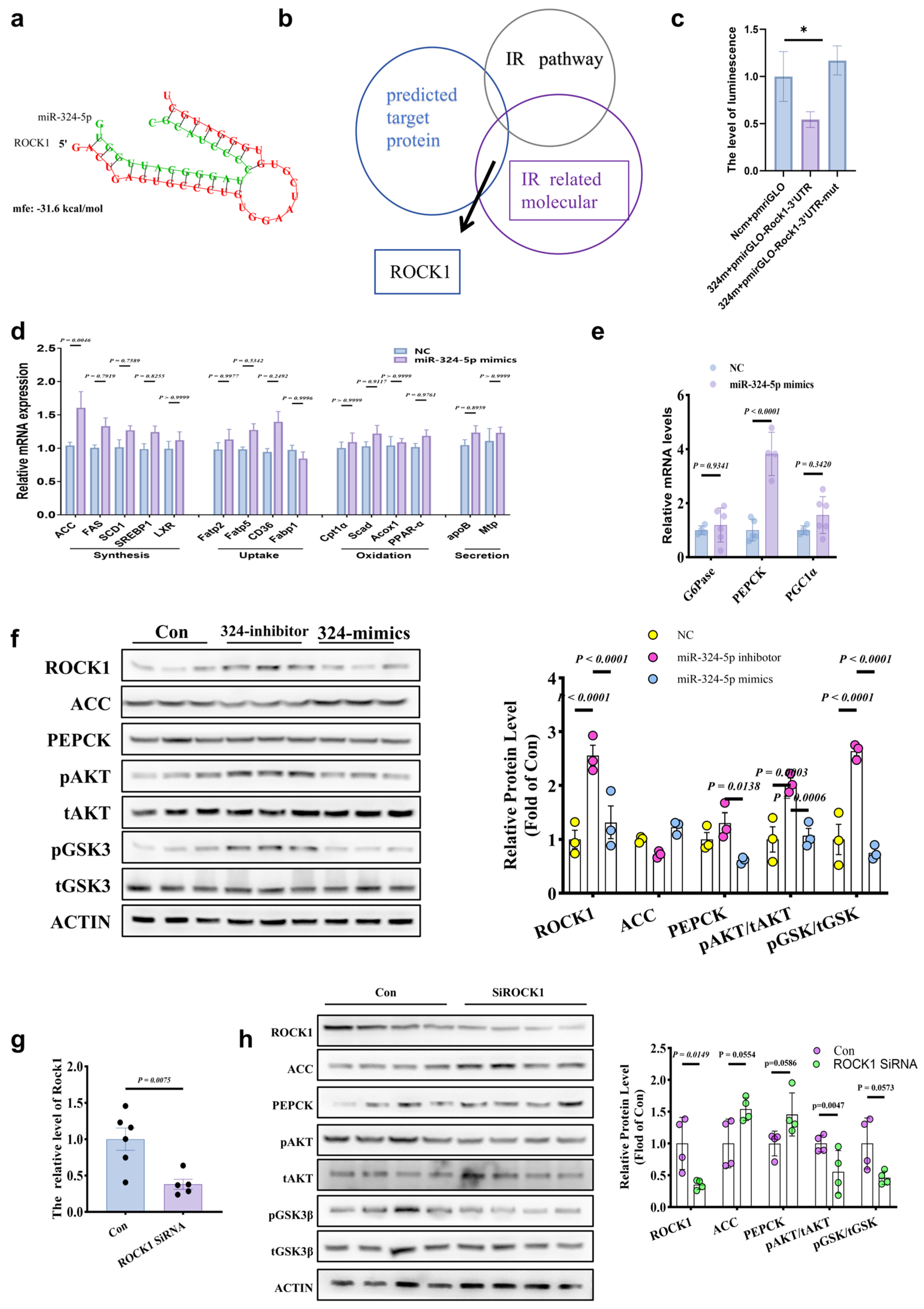Metabolites 14 00692 g005