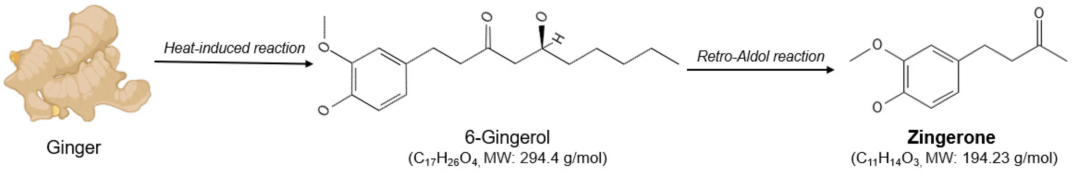 Metabolites 14 00693 g001