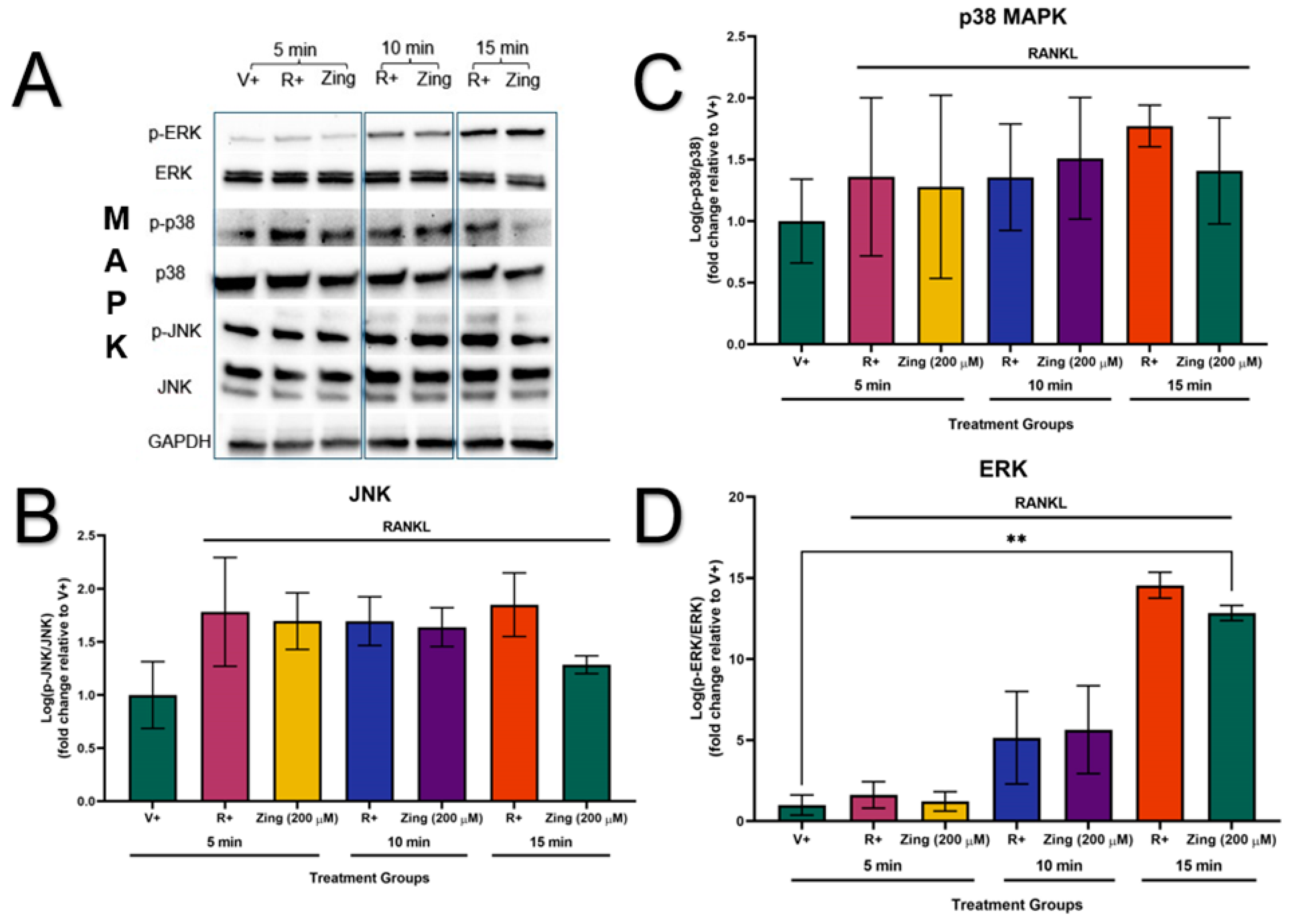 Metabolites 14 00693 g005