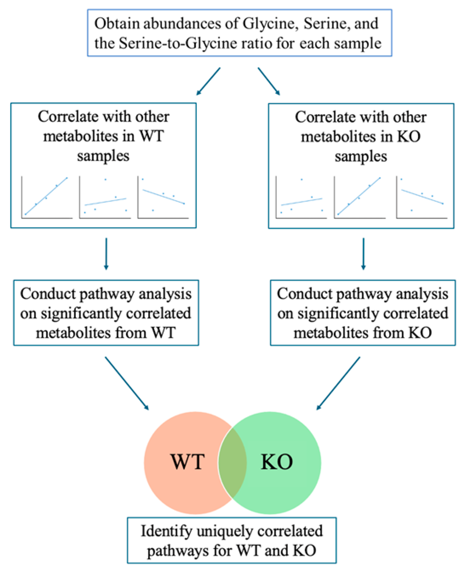 Metabolites 14 00696 g001