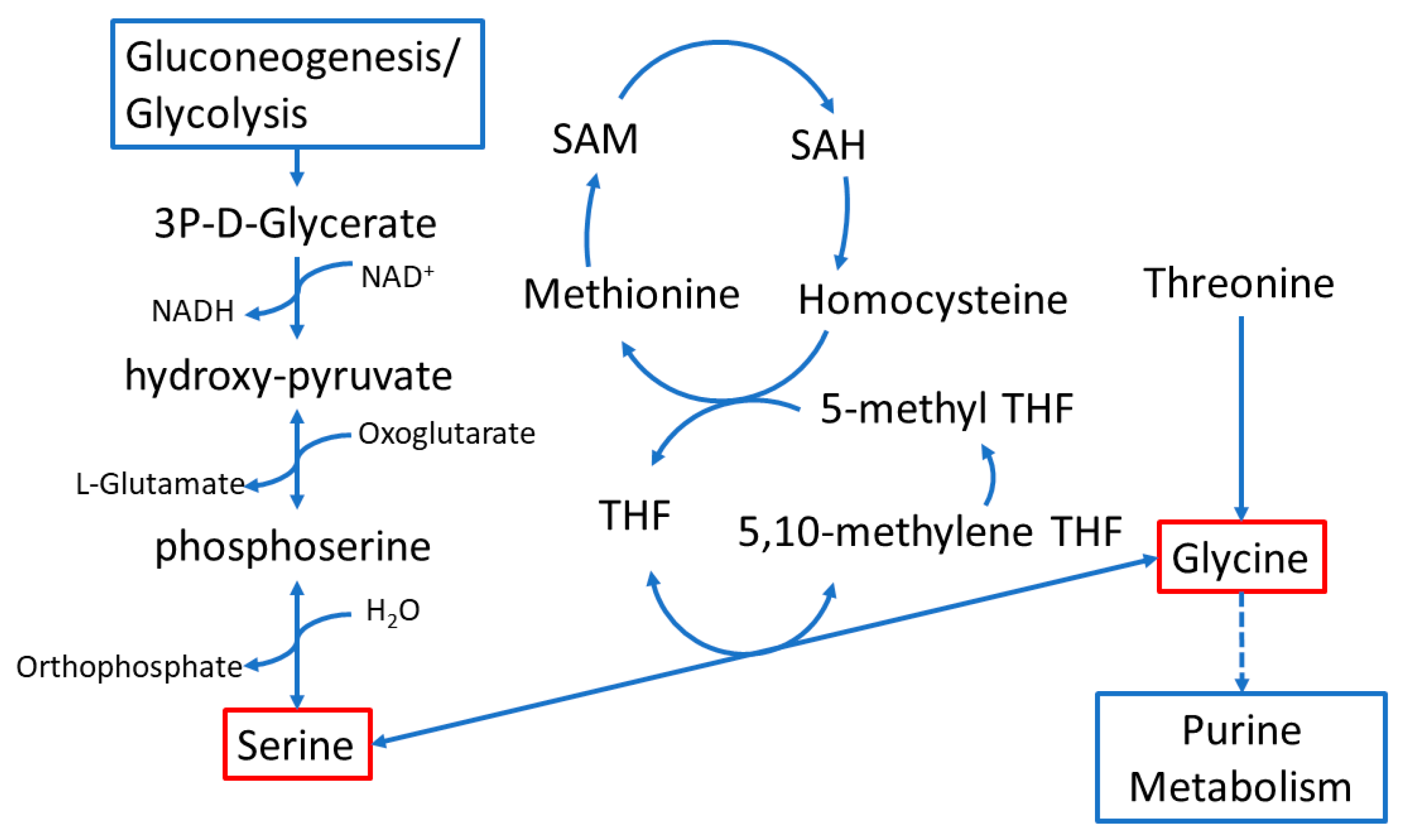 Metabolites 14 00696 g007