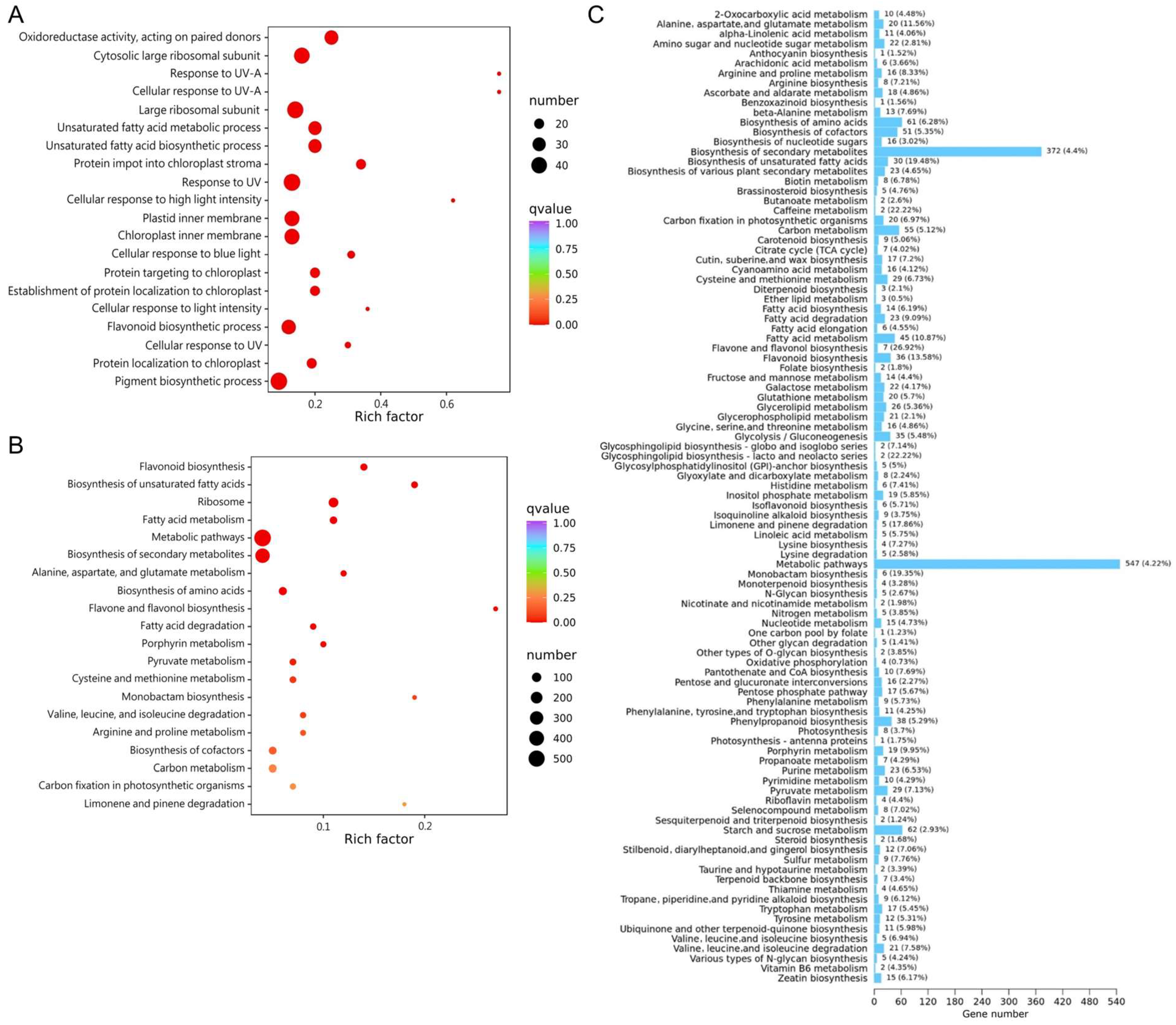 Metabolites 14 00700 g004