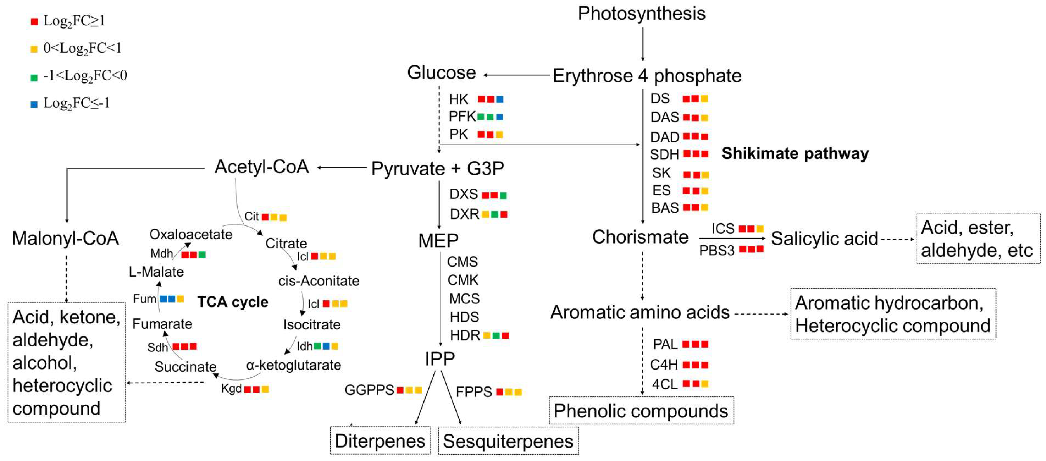 Metabolites 14 00700 g005