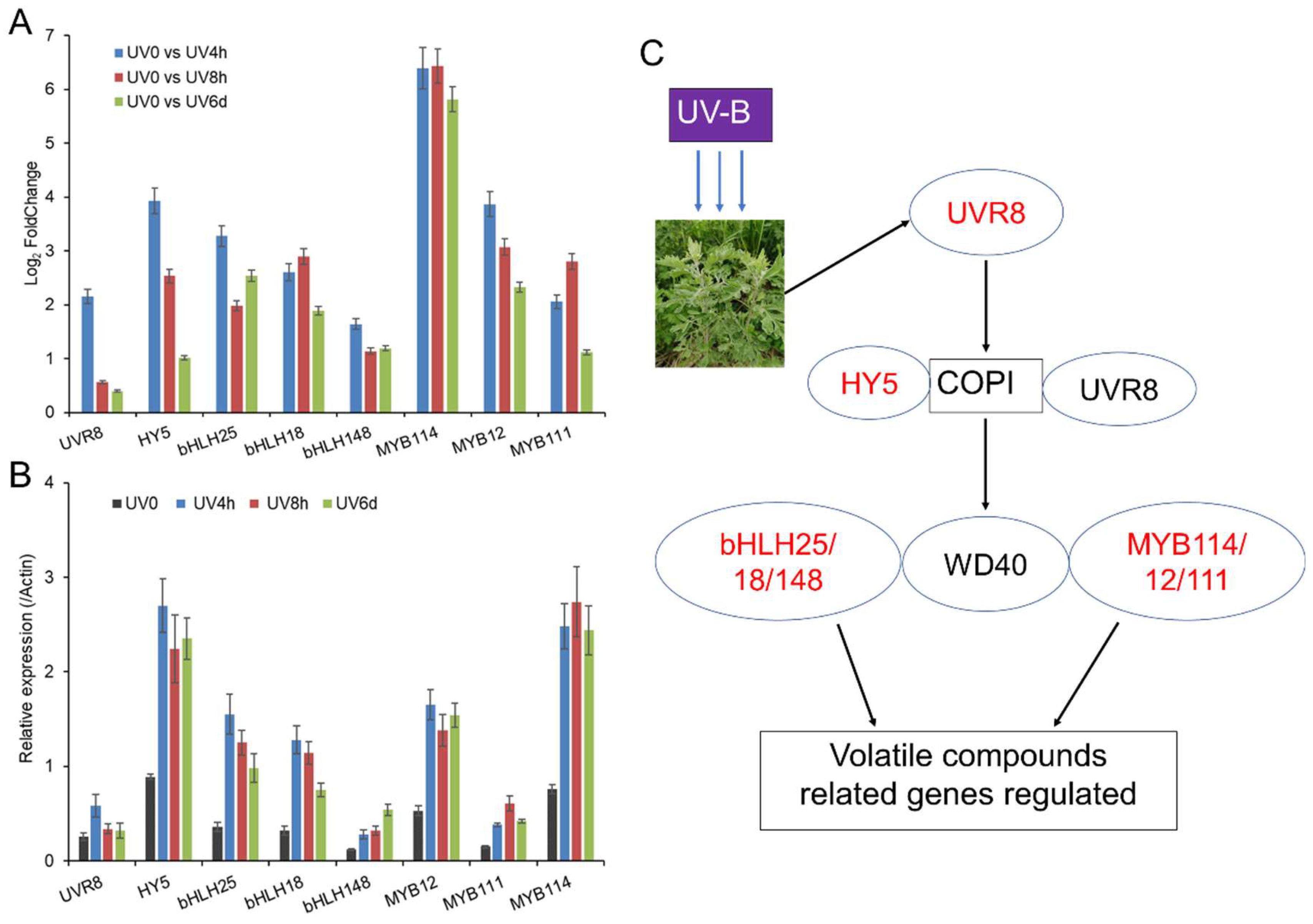 Metabolites 14 00700 g006