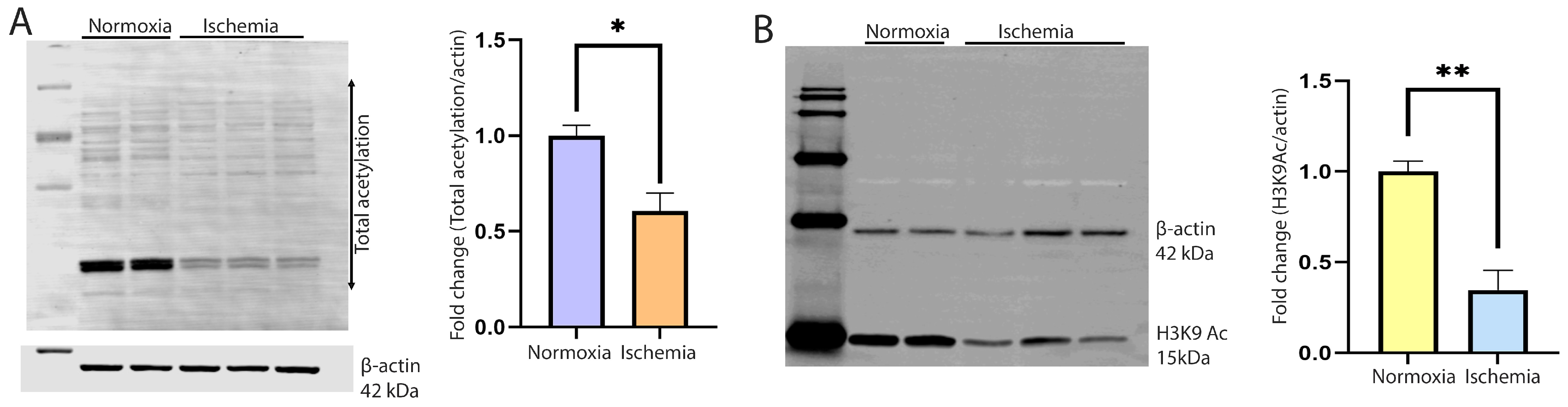 Metabolites 14 00701 g001 Metabolites 14 00701 g001