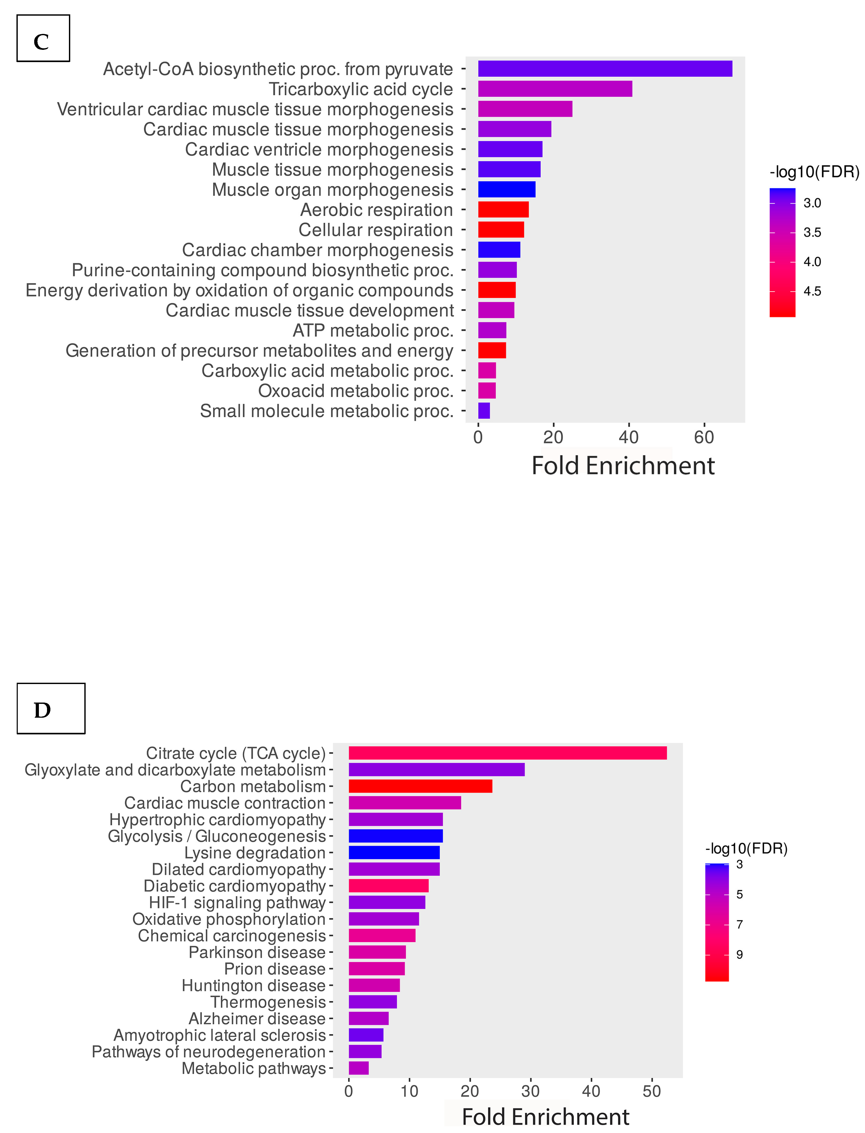 Metabolites 14 00701 g003b Metabolites 14 00701 g003b