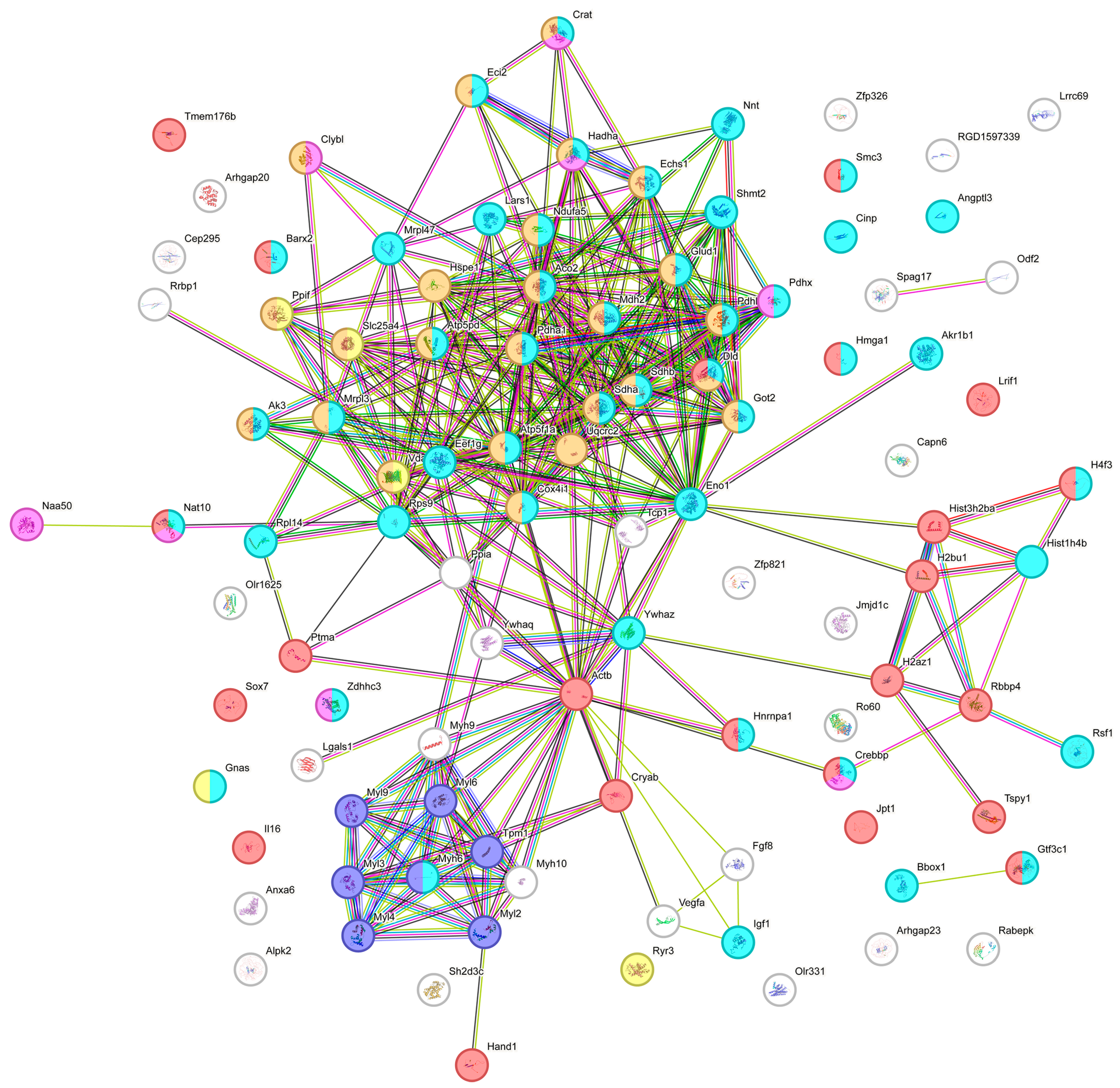 Metabolites 14 00701 g004 Metabolites 14 00701 g004