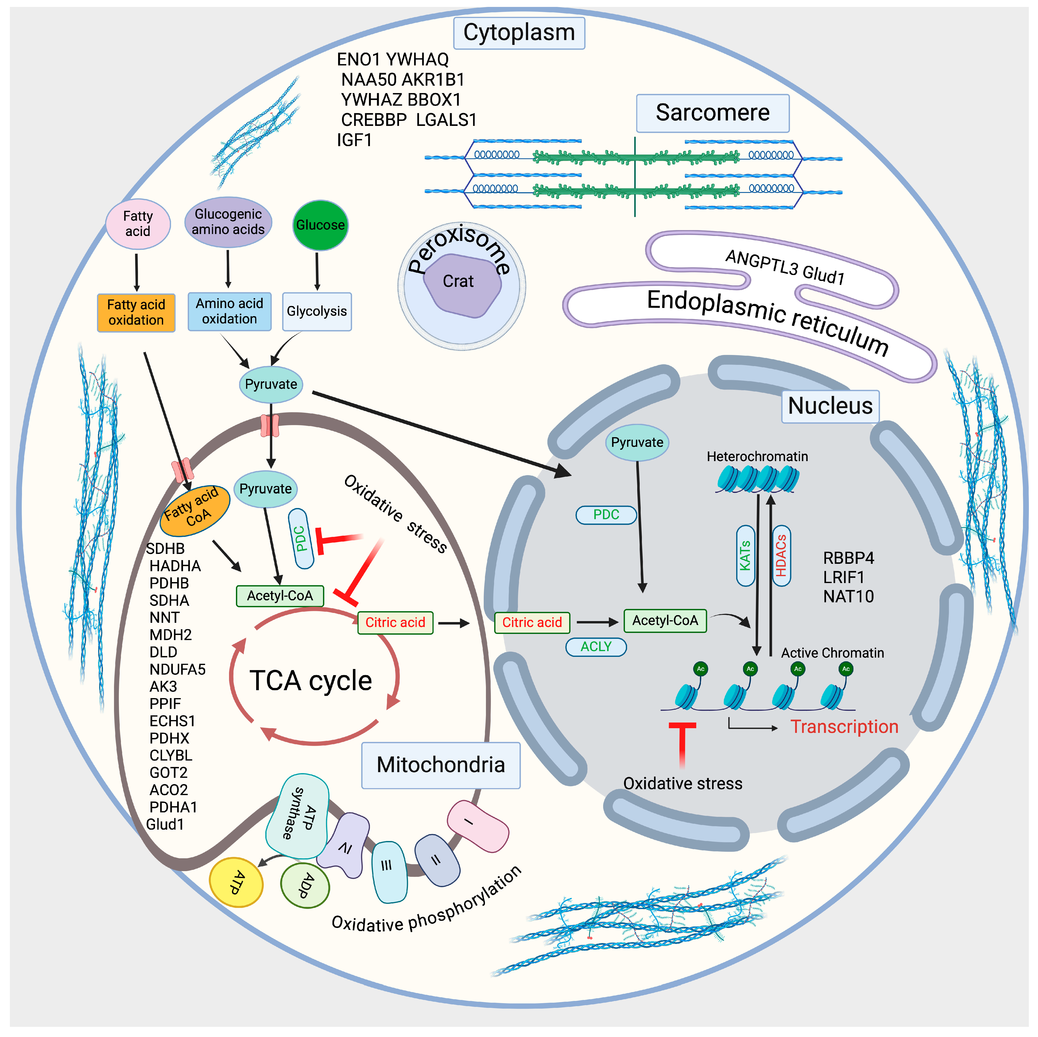 Metabolites 14 00701 g005 Metabolites 14 00701 g005