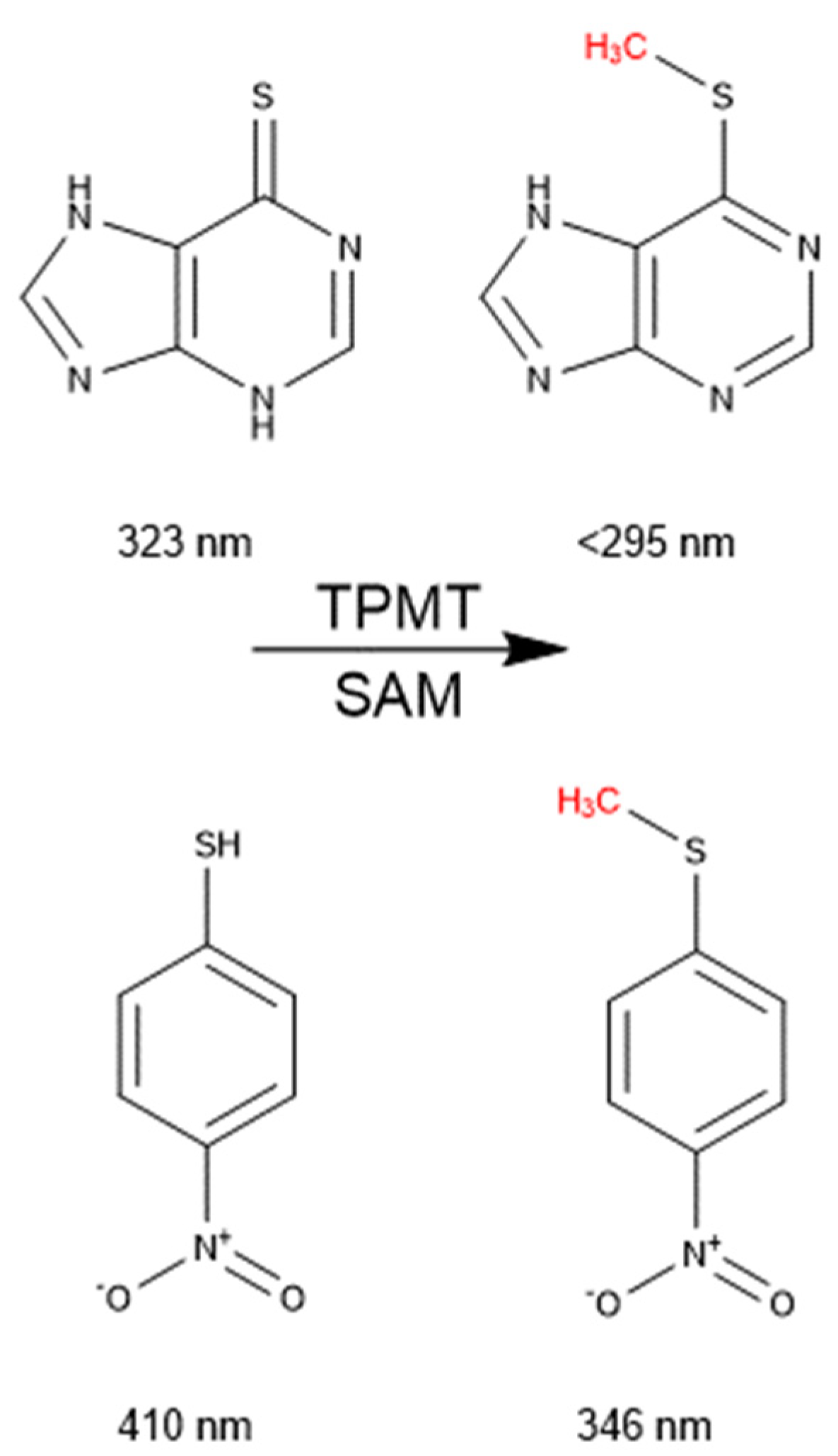 Metabolites 14 00715 g001