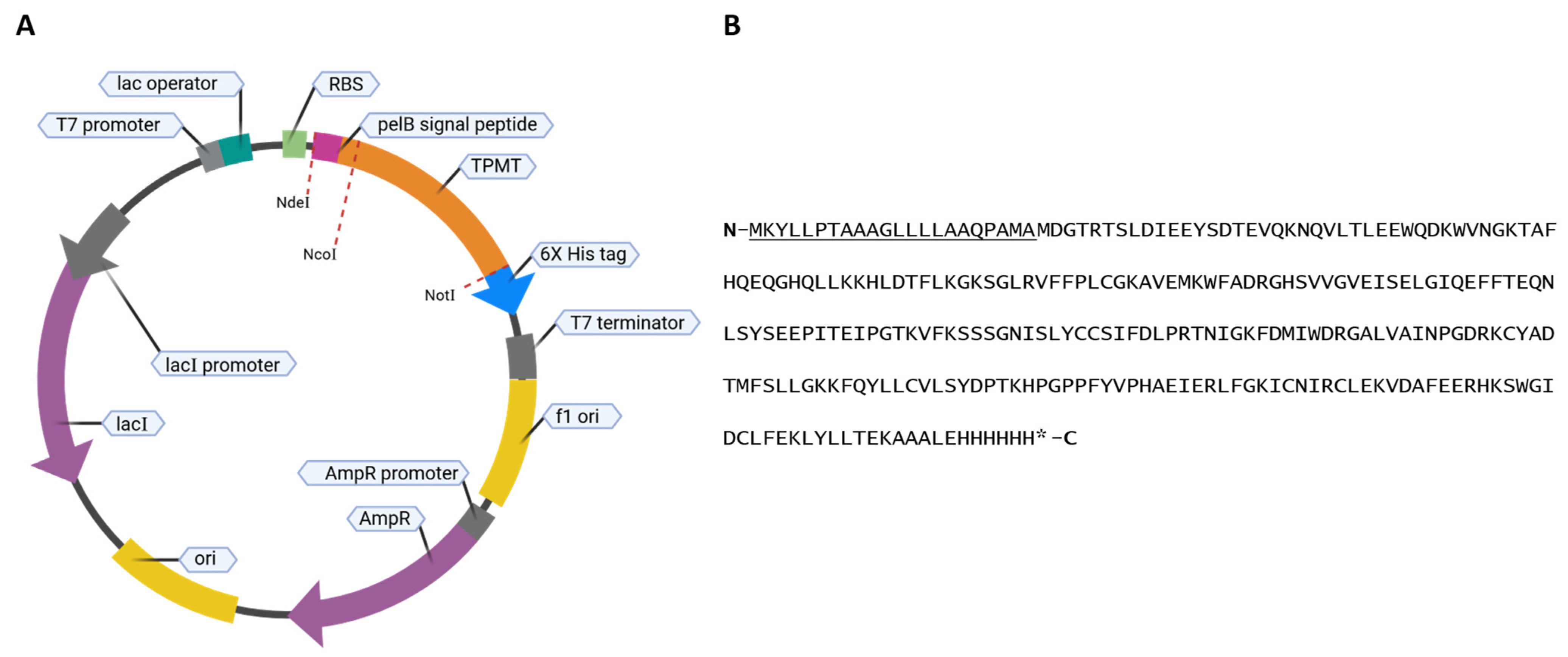 Metabolites 14 00715 g002