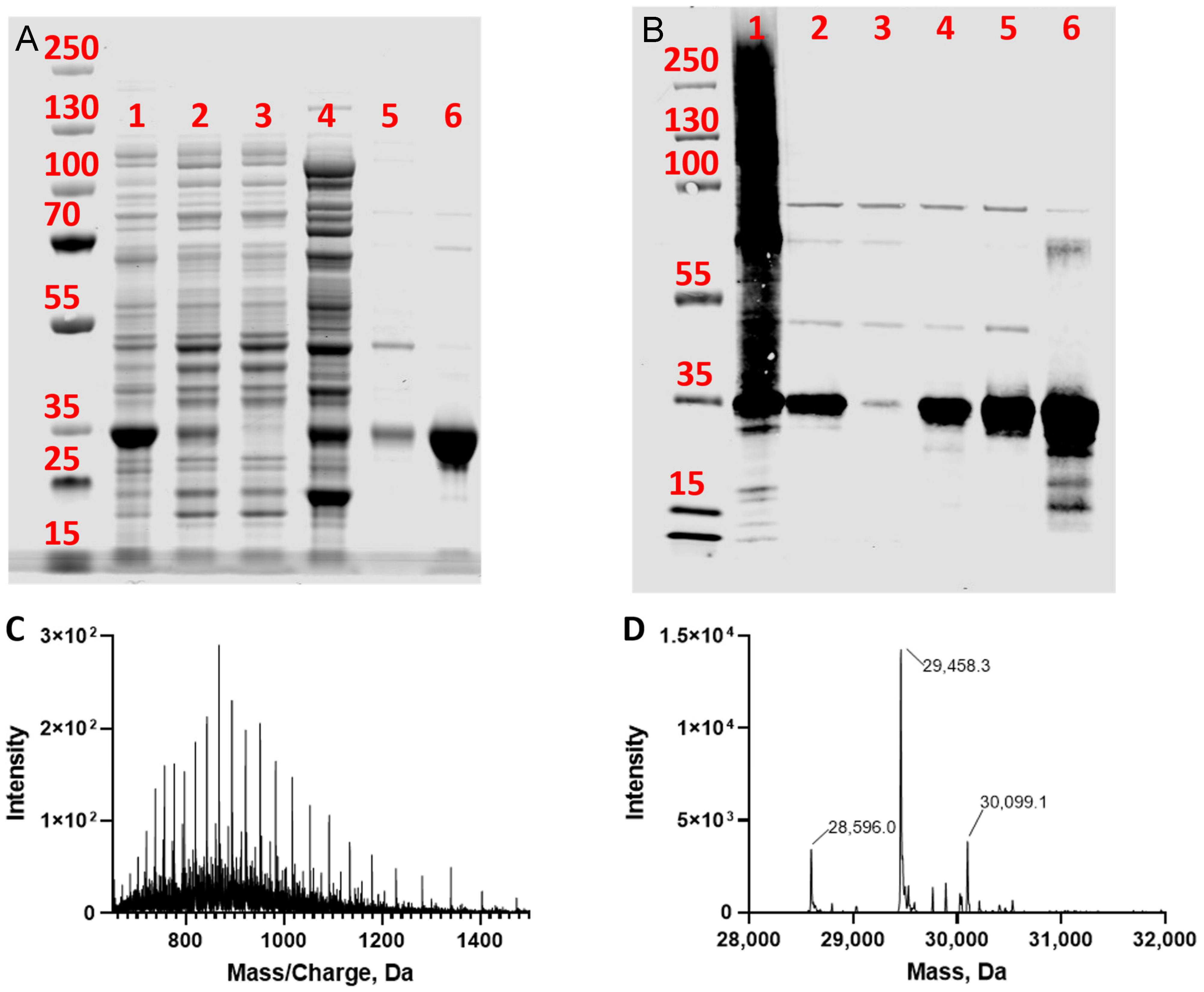 Metabolites 14 00715 g003