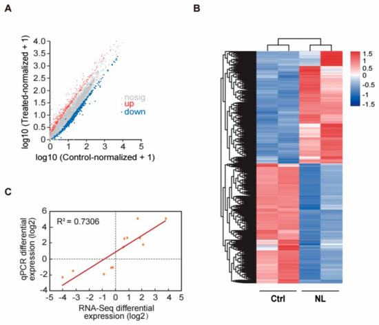 その他 12345 Transcriptome Analysis Reveals Norathyriol Prolongs the
