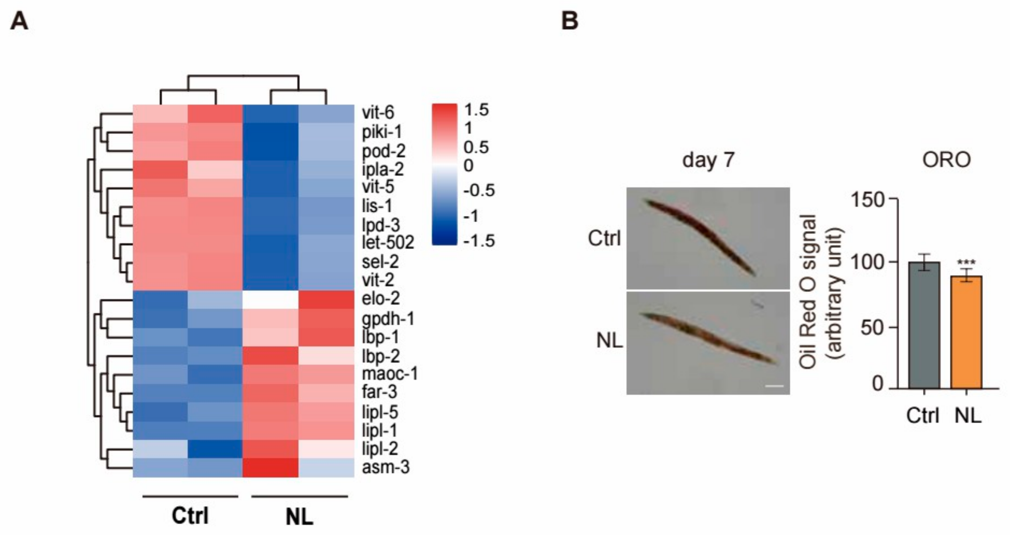 Metabolites 14 00716 g006